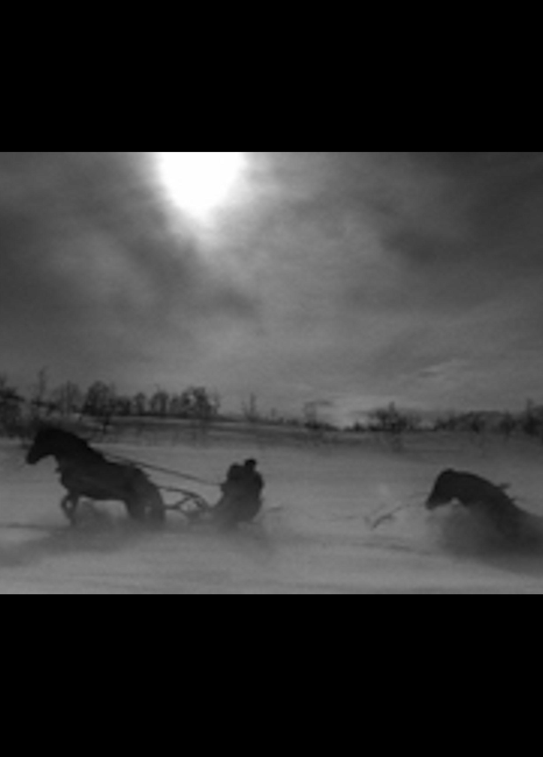 Beskrivende bilde relatert til innholdet i filmen "Dei svarte hestane"