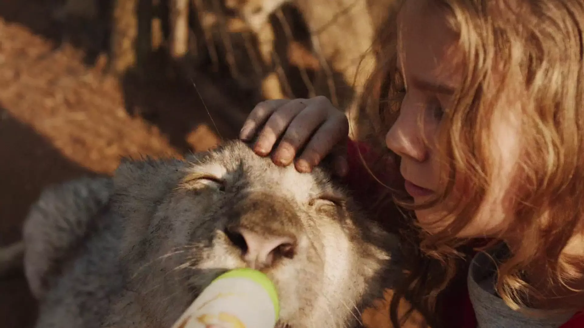 Beskrivende bilde relatert til innholdet i filmen "Mia and the white lion"