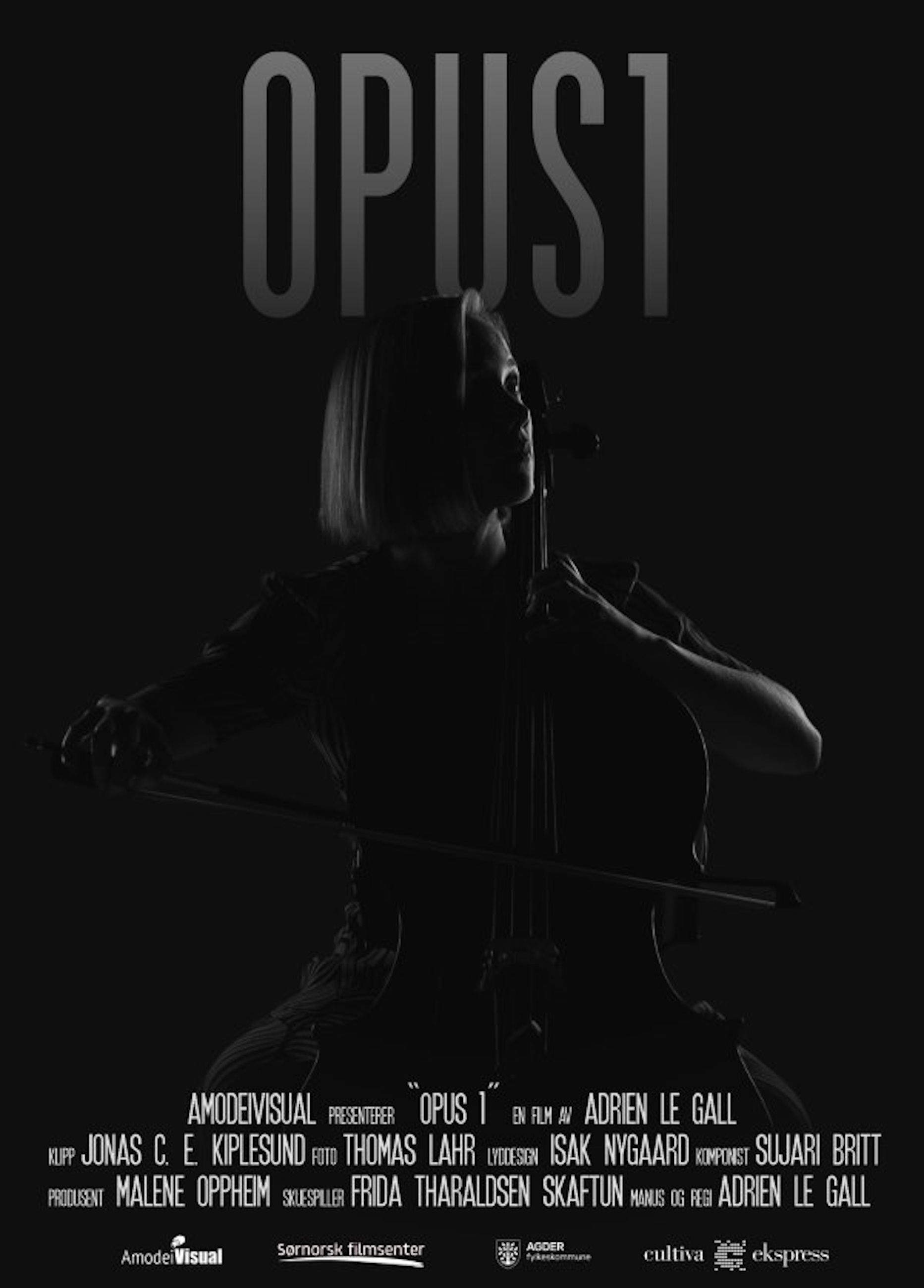 Beskrivende bilde relatert til innholdet i filmen "Opus"