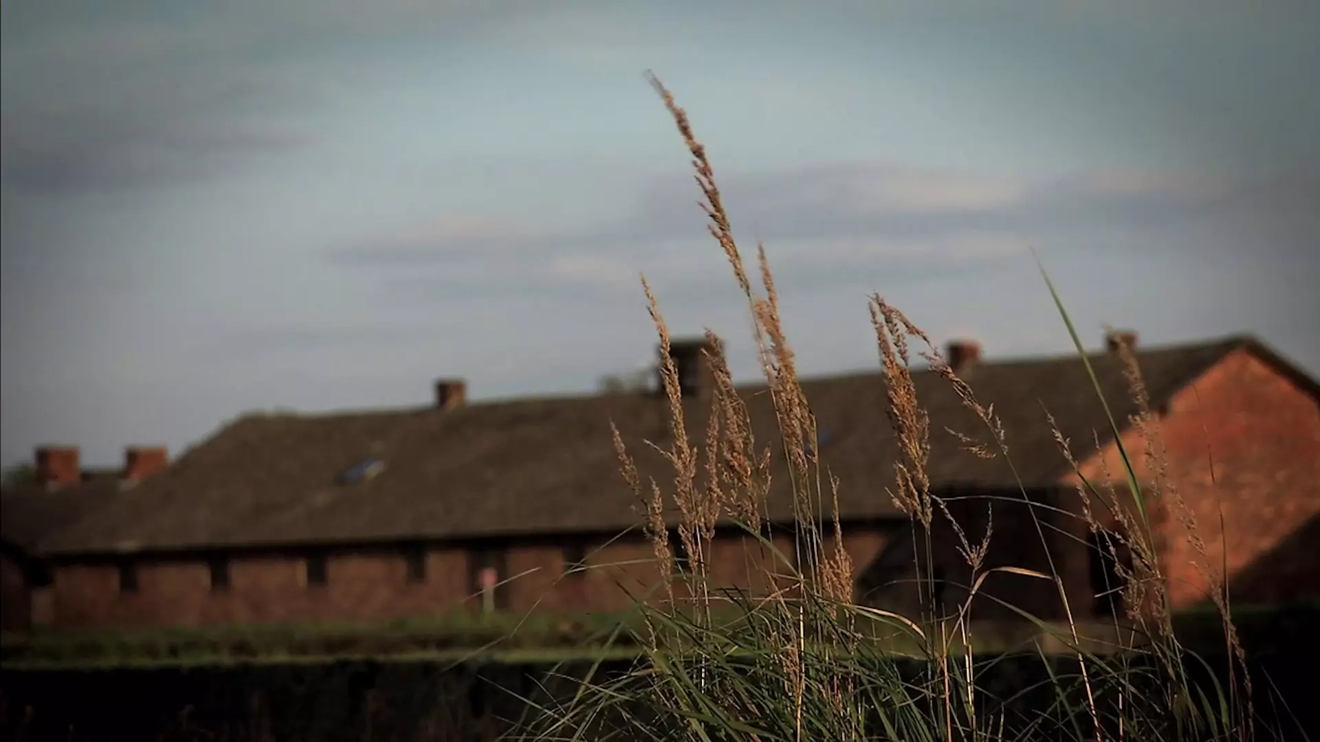 Beskrivende bilde relatert til innholdet i filmen "Dømt til å leve"