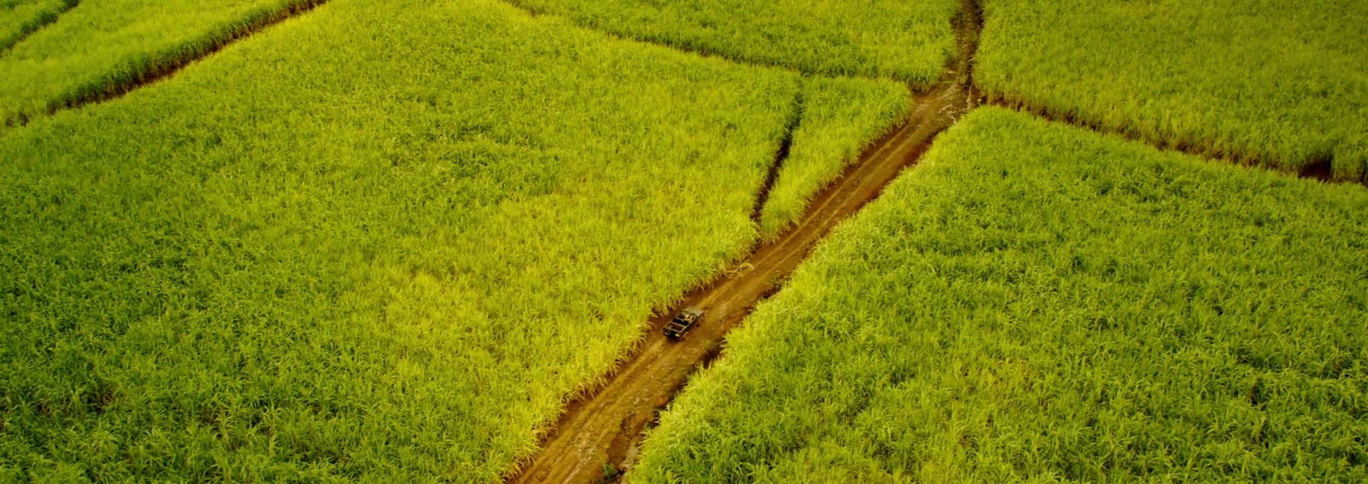 Beskrivende bilde relatert til innholdet i filmen "Horizon Line"