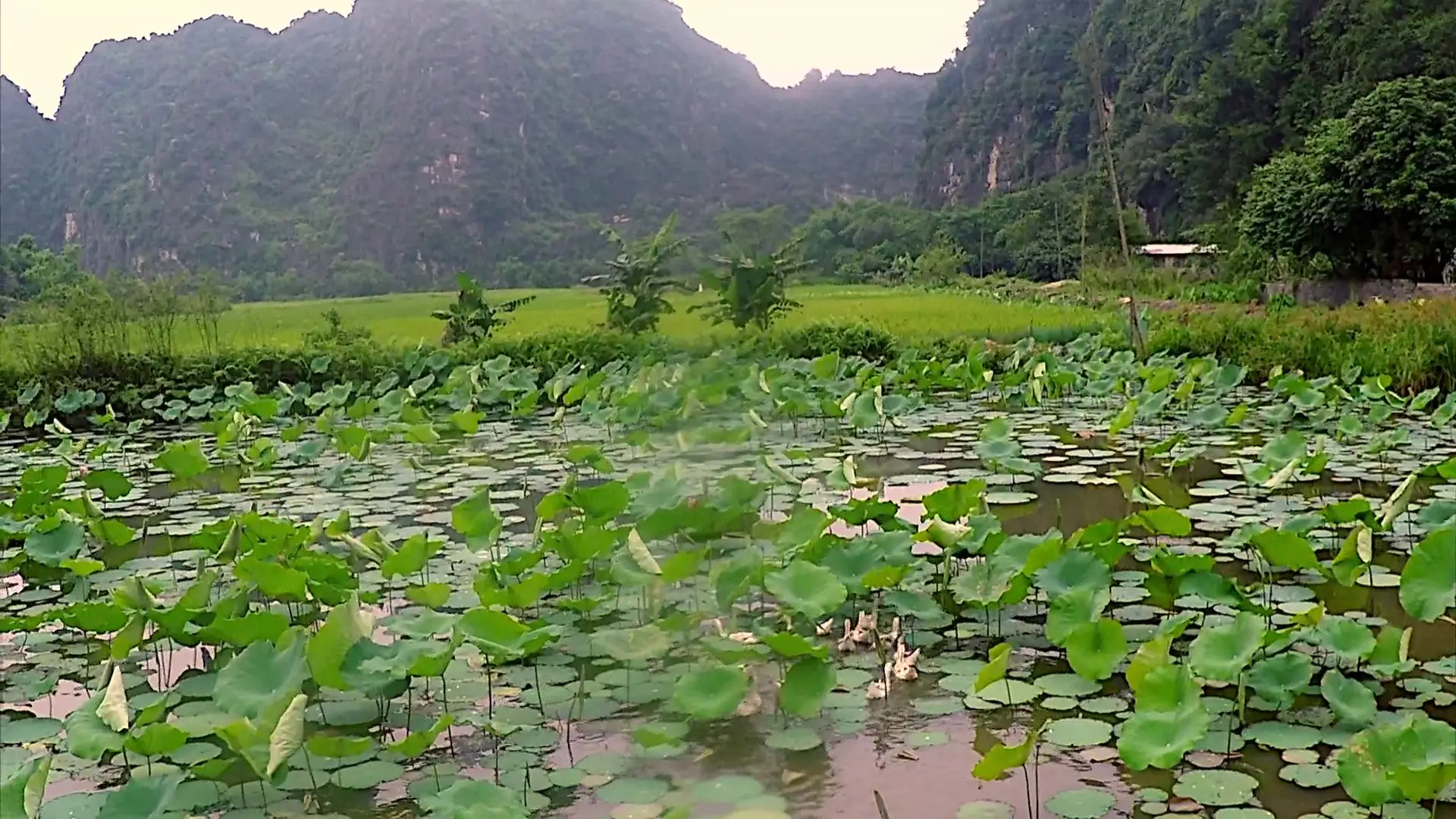 Beskrivende bilde relatert til innholdet i filmen "7 Wonders - Vietnam"