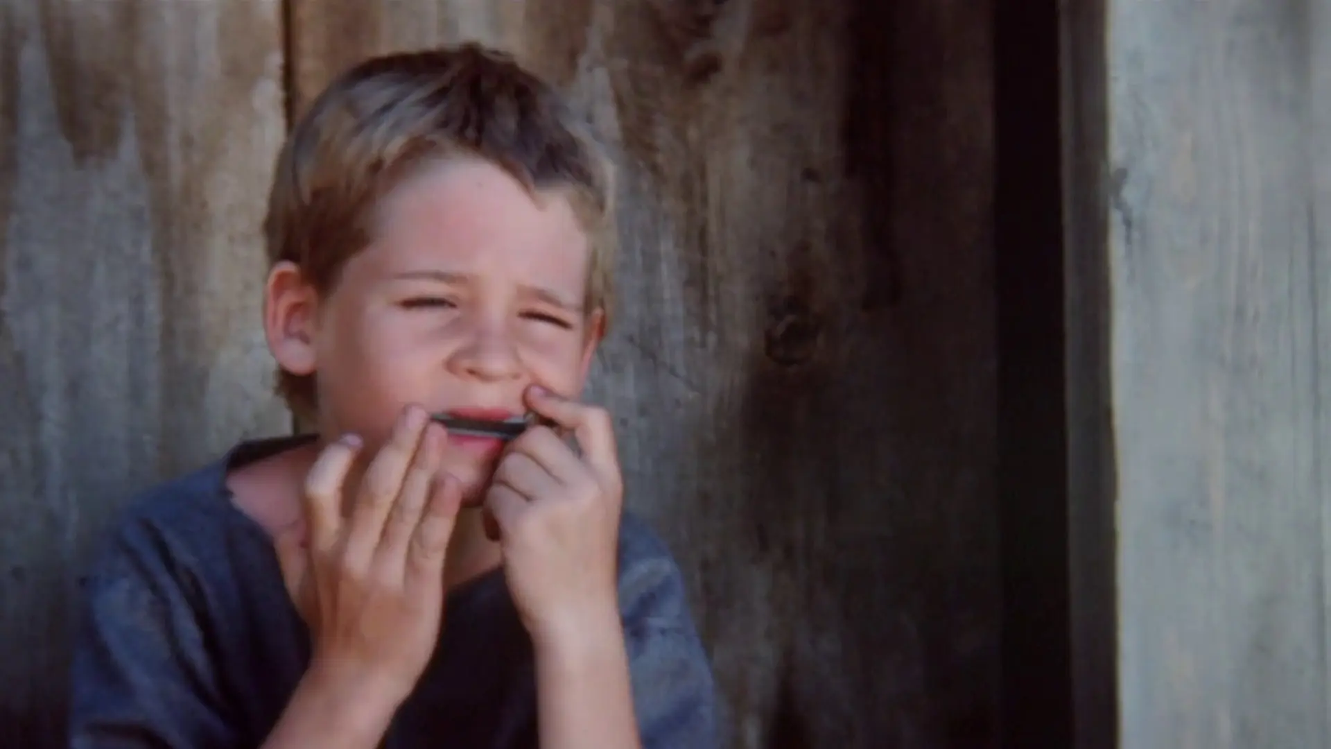 Beskrivende bilde relatert til innholdet i filmen "Flaggermusvinger"