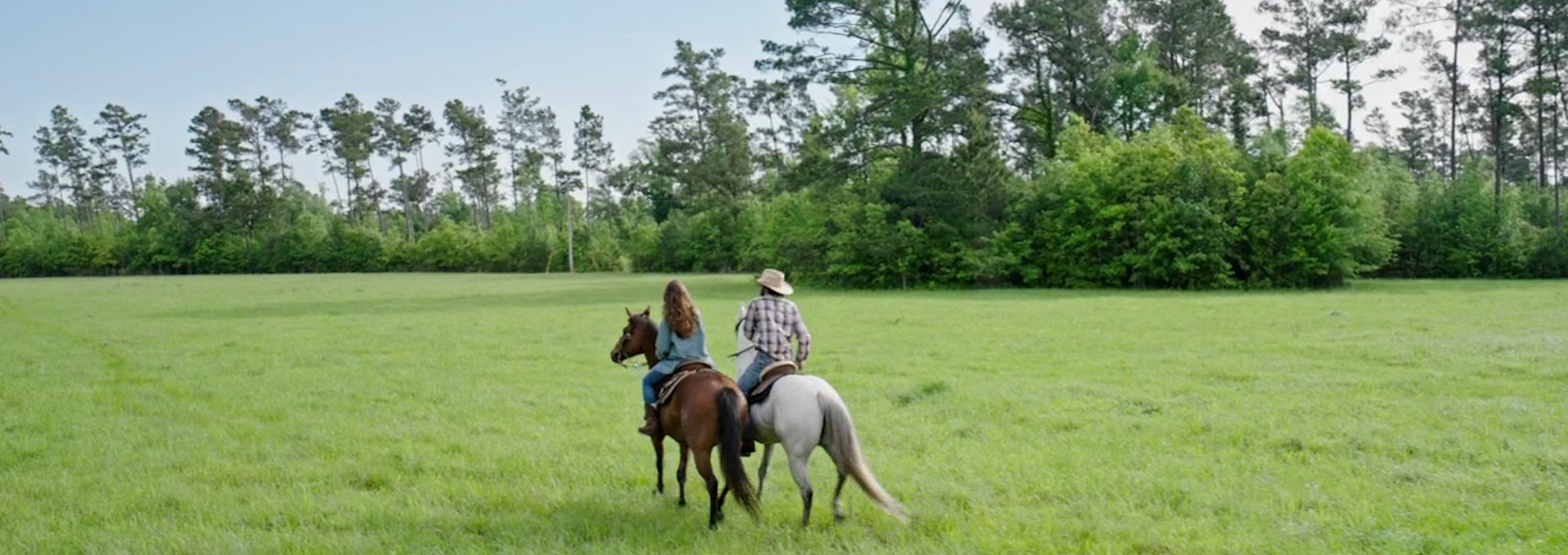 Beskrivende bilde relatert til innholdet i filmen "Race to Win"