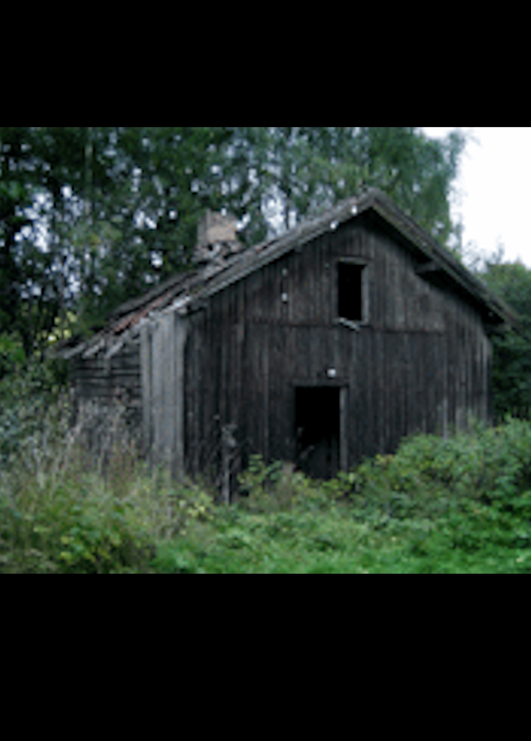 Beskrivende bilde relatert til innholdet i filmen "Nostalgia"