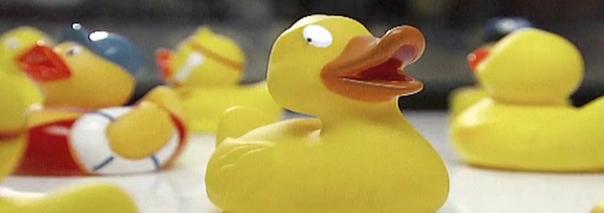 Beskrivende bilde relatert til innholdet i filmen "Life and times of Makina Fifth, The  : The true story of a rubberduck"