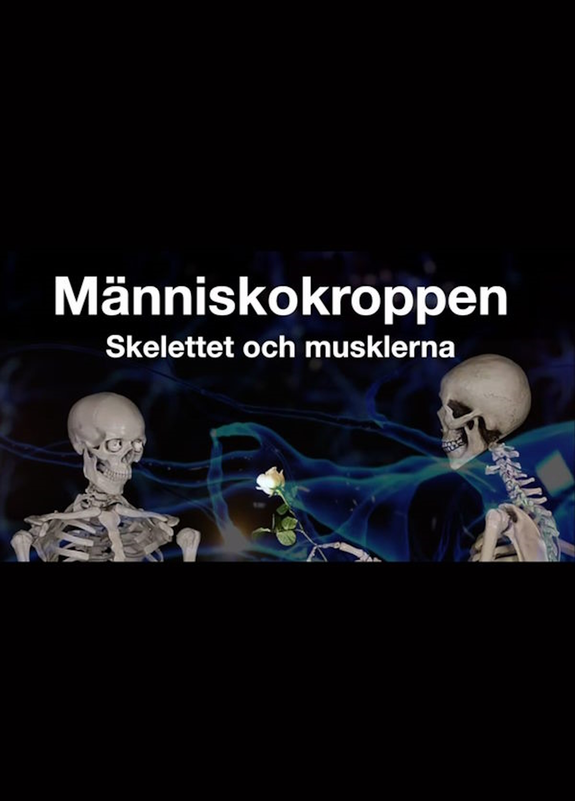 Beskrivende bilde relatert til innholdet i filmen "Menneskekroppen - skjelettet og musklene"