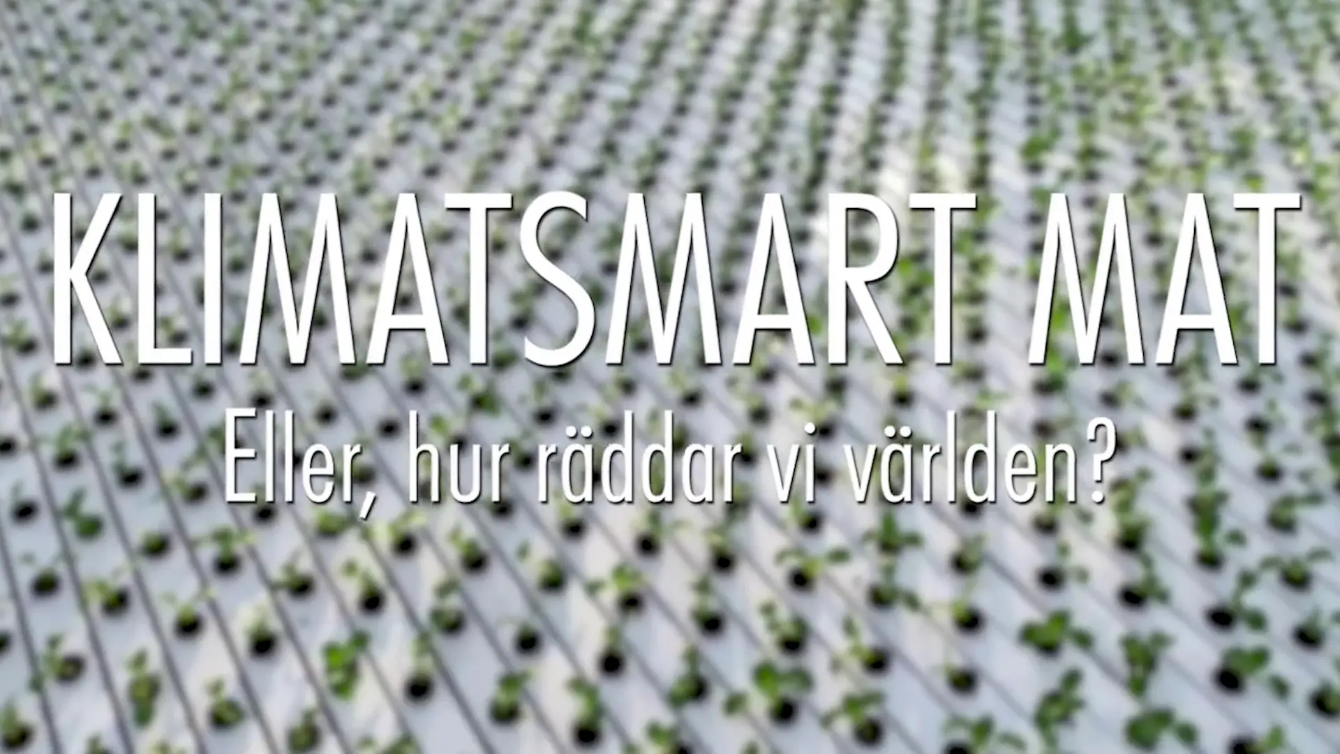 Beskrivende bilde relatert til innholdet i filmen "Klimatsmart mat"