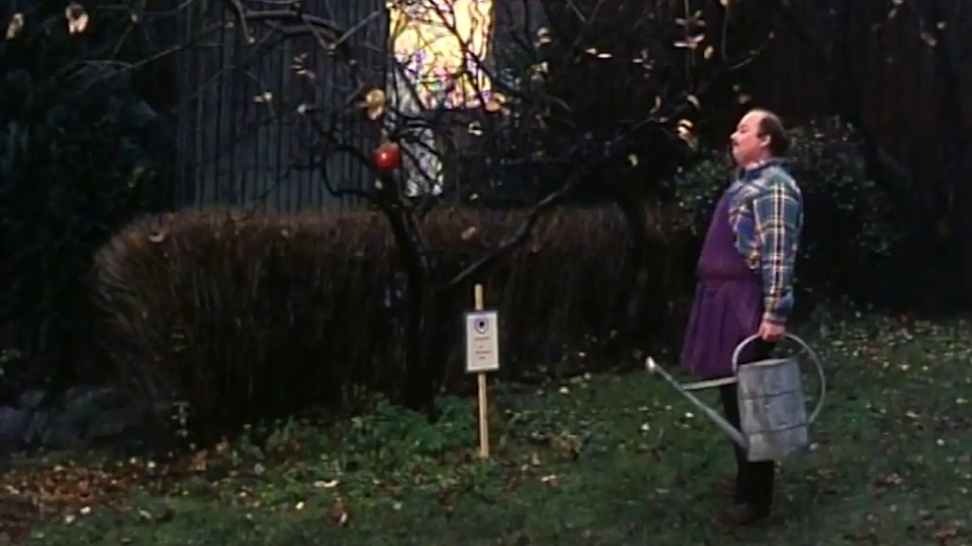 Beskrivende bilde relatert til innholdet i filmen "Rødt eple"