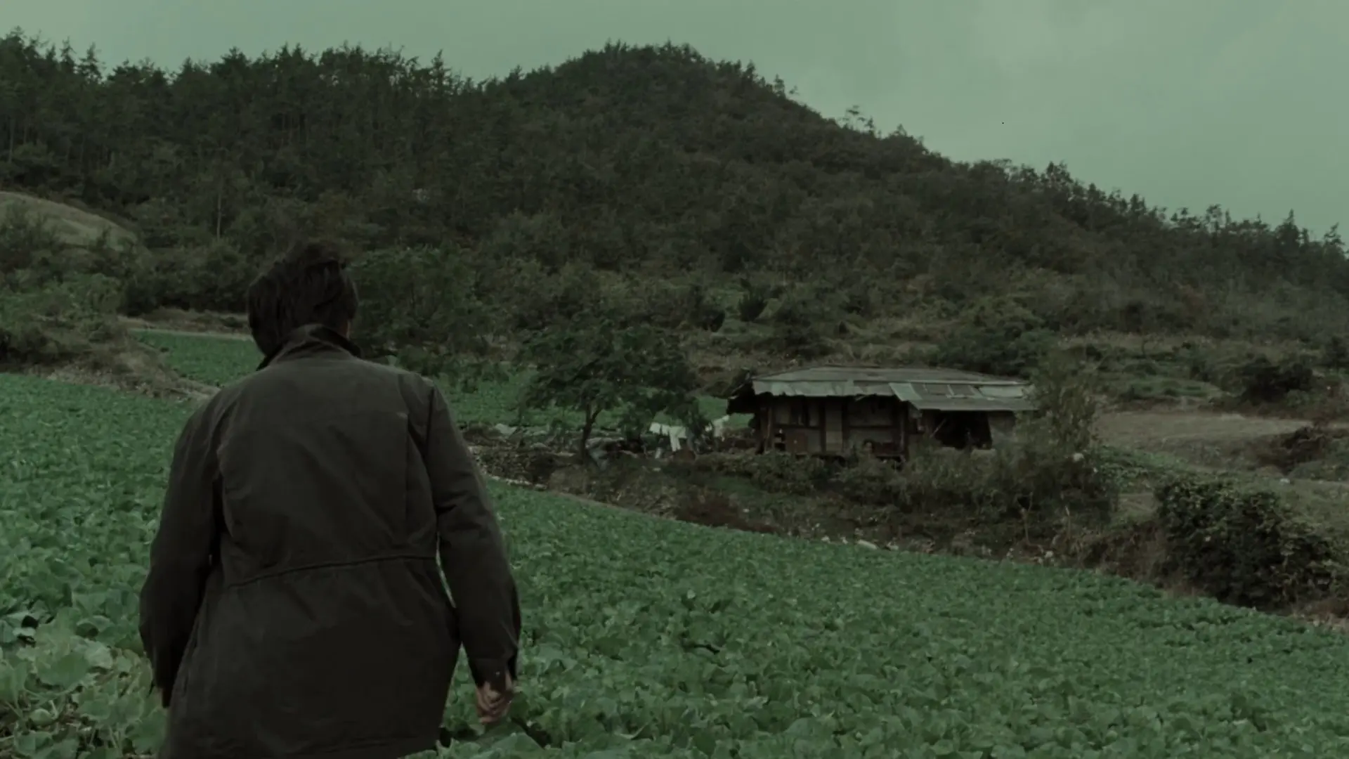 Beskrivende bilde relatert til innholdet i filmen "Memories of Murder"