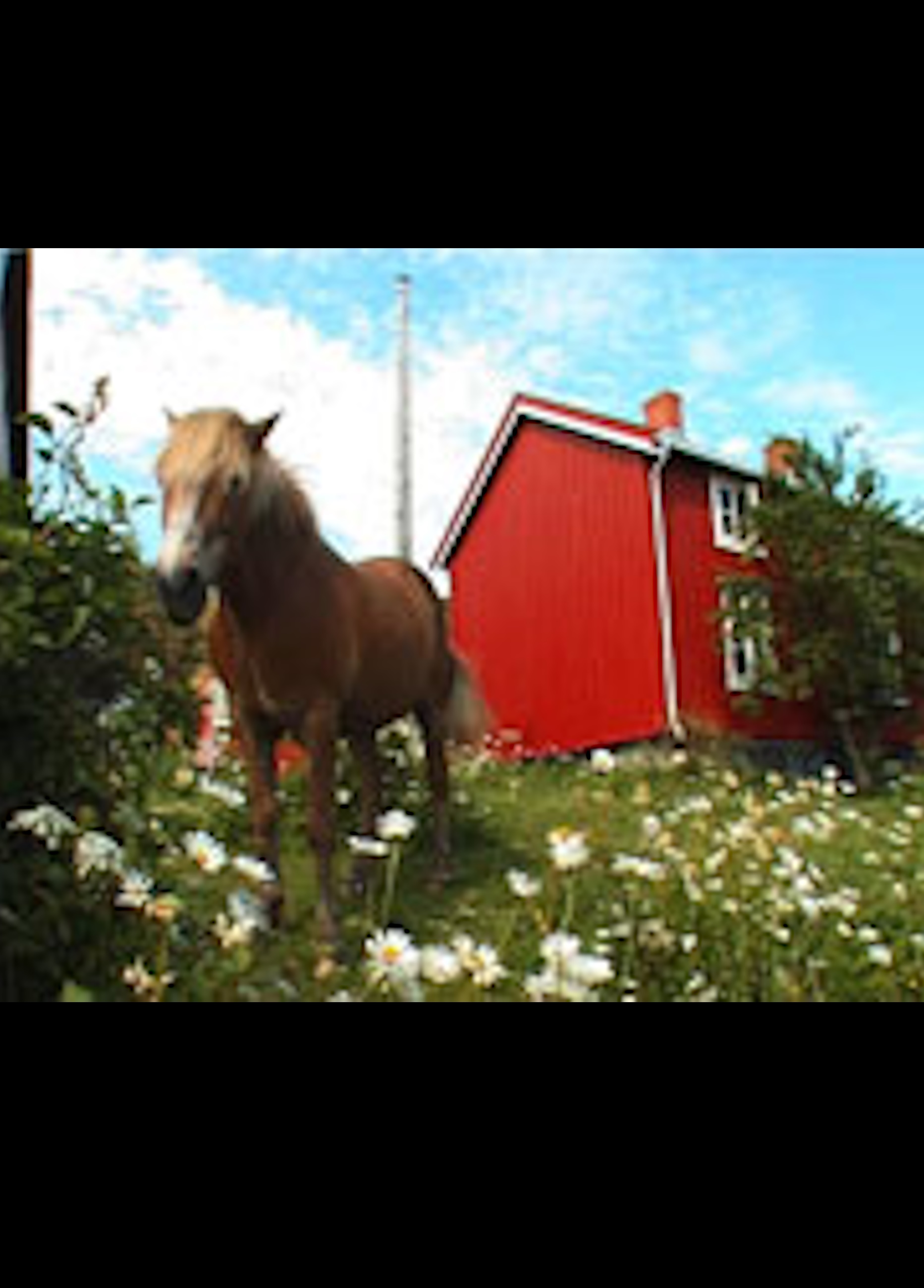 Beskrivende bilde relatert til innholdet i filmen "Kultur+landskap=sant"