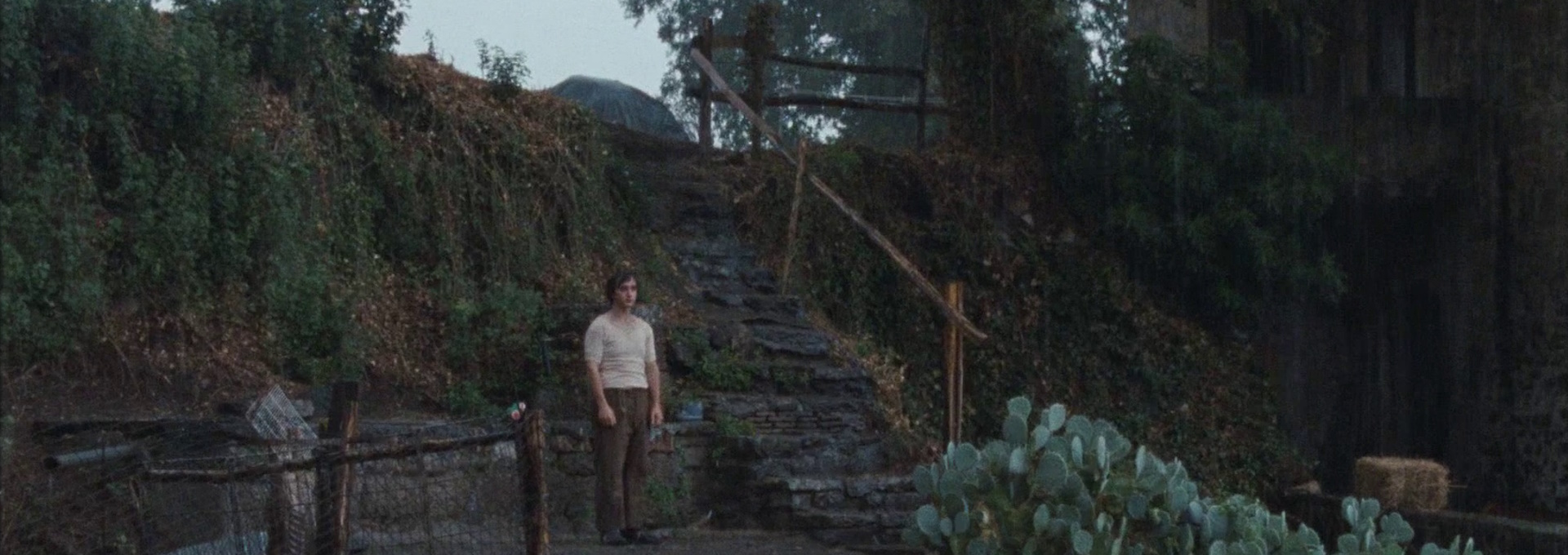 Beskrivende bilde relatert til innholdet i filmen "Lykkelige Lazzaro"