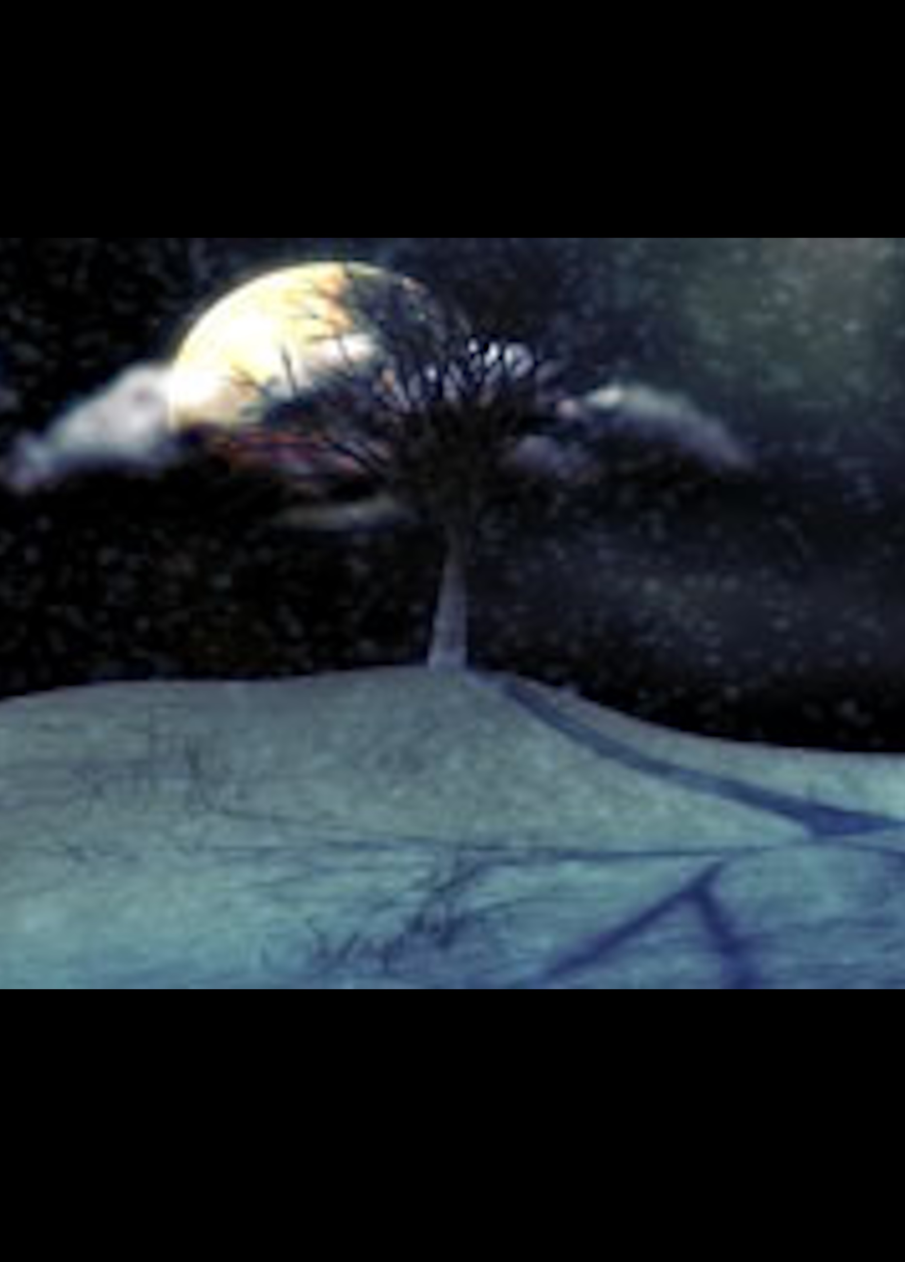Beskrivende bilde relatert til innholdet i filmen "Fable of the leaf, The"