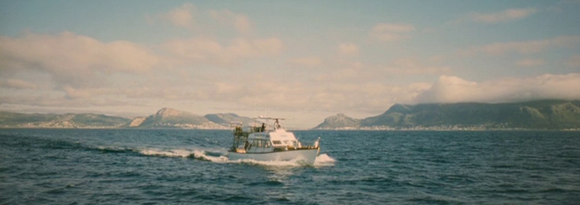 Beskrivende bilde relatert til innholdet i filmen "Dark Tide"