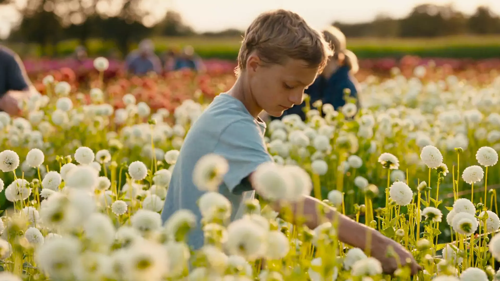 Beskrivende bilde relatert til innholdet i filmen "Close"