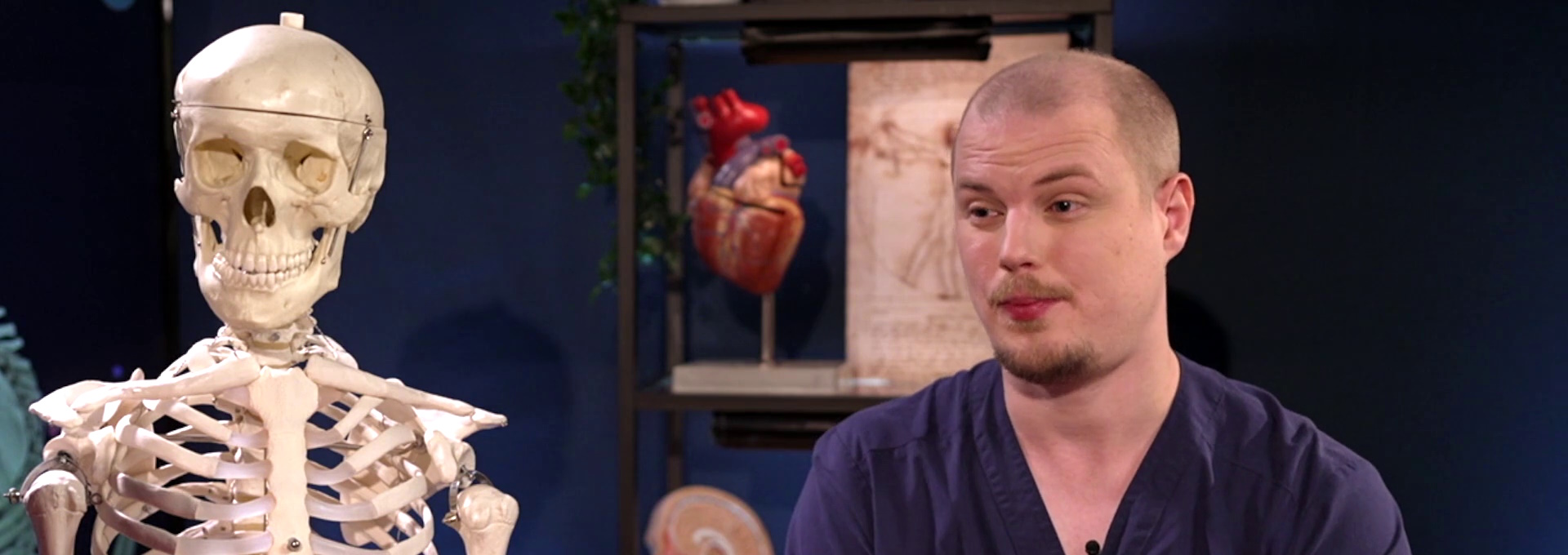 Beskrivende bilde relatert til innholdet i filmen "Menneskekroppen - skjelettet og musklene"