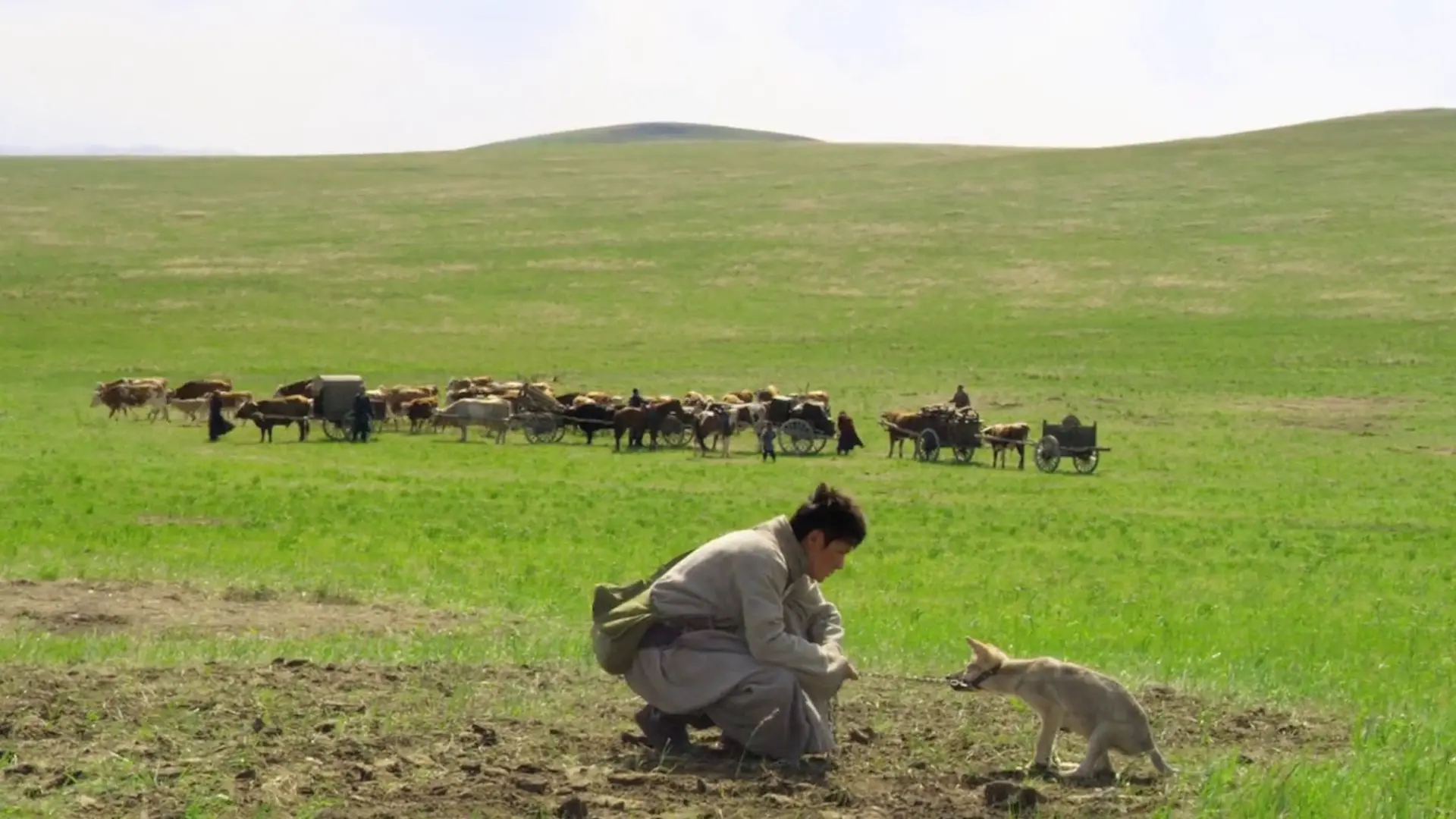 Beskrivende bilde relatert til innholdet i filmen "Wolf Totem"