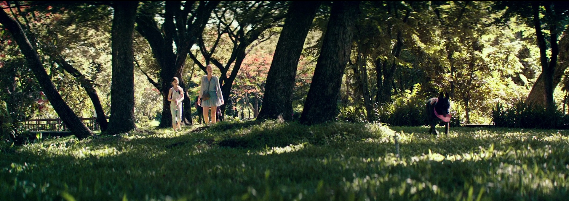 Beskrivende bilde relatert til innholdet i filmen "All I See Is You"