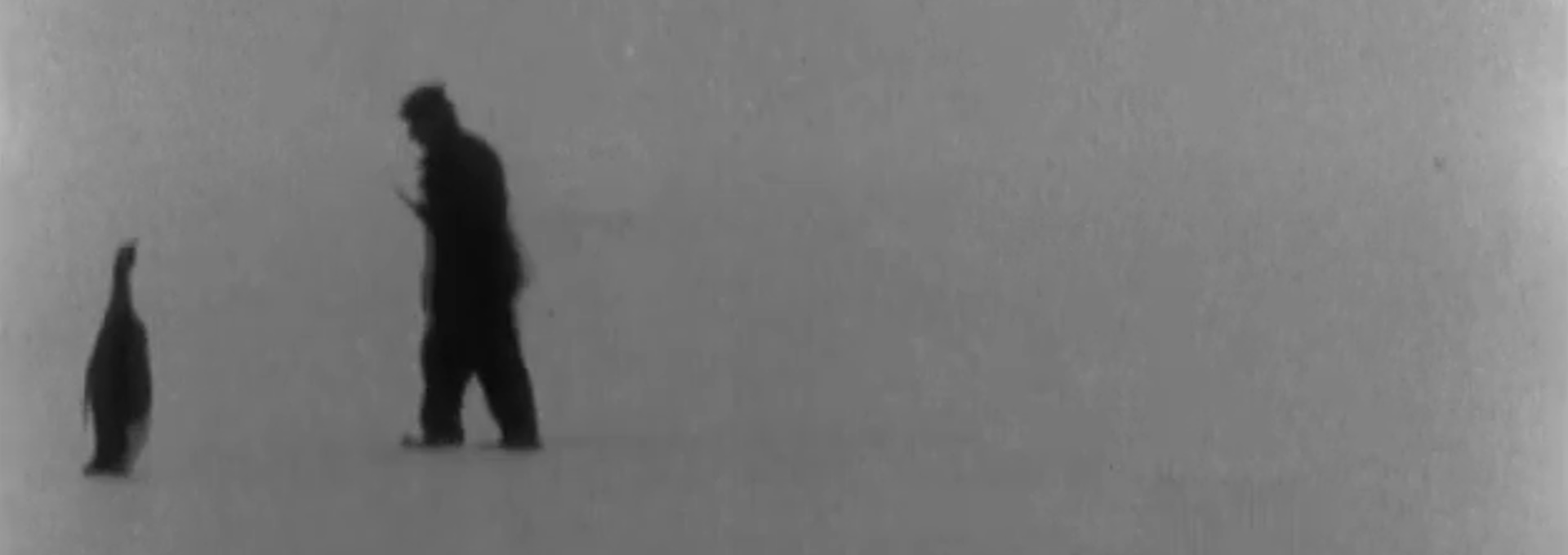 Beskrivende bilde relatert til innholdet i filmen "Roald Amundsens sydpolsferd (1910 - 1912)"