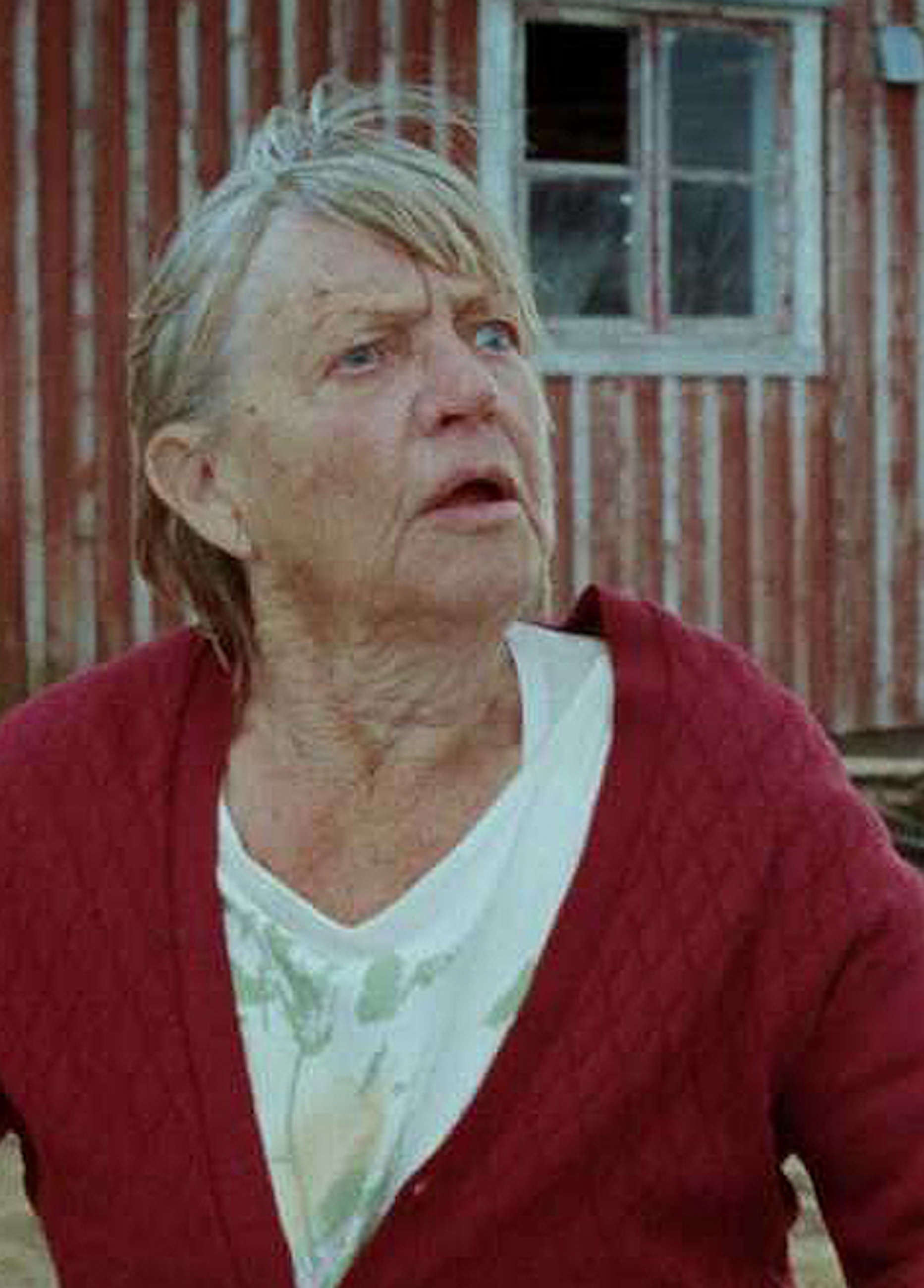 Beskrivende bilde relatert til innholdet i filmen "Ella"