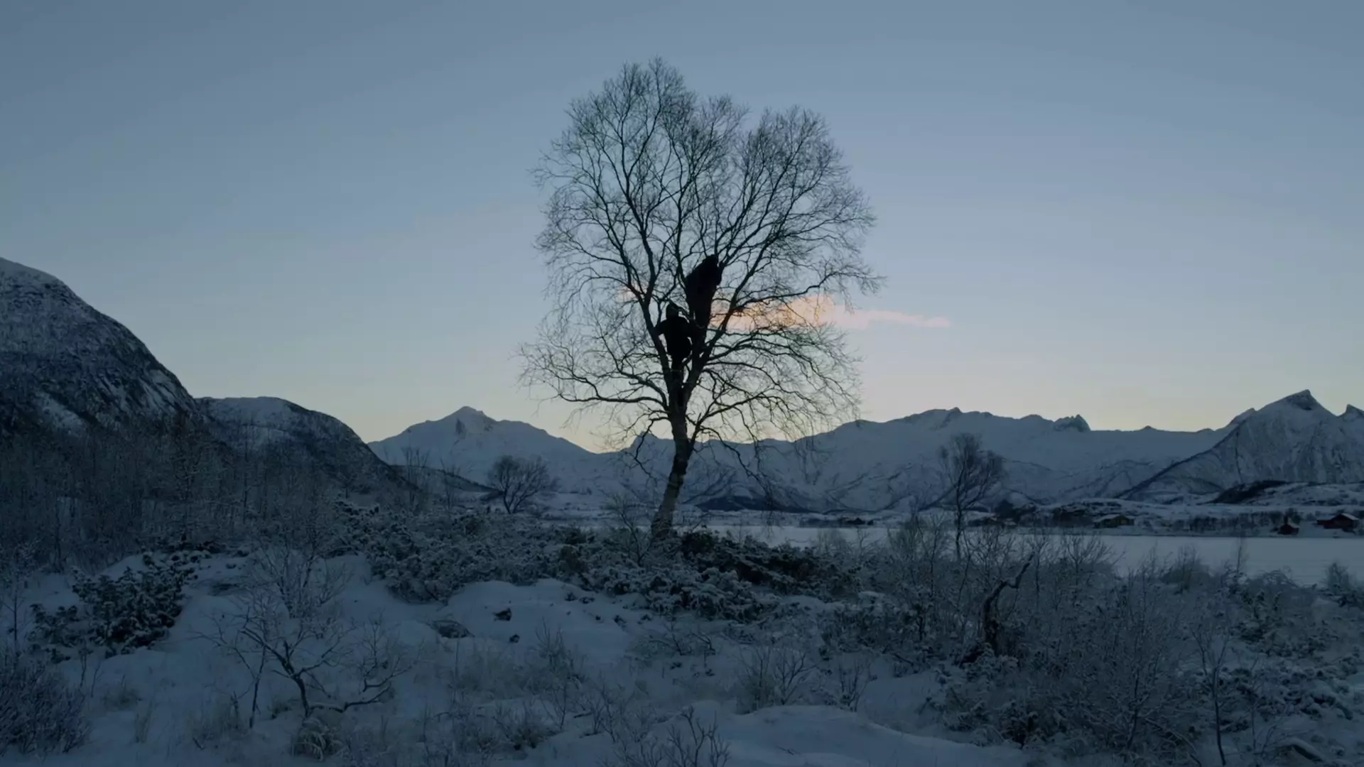 Beskrivende bilde relatert til innholdet i filmen "Mot nord"