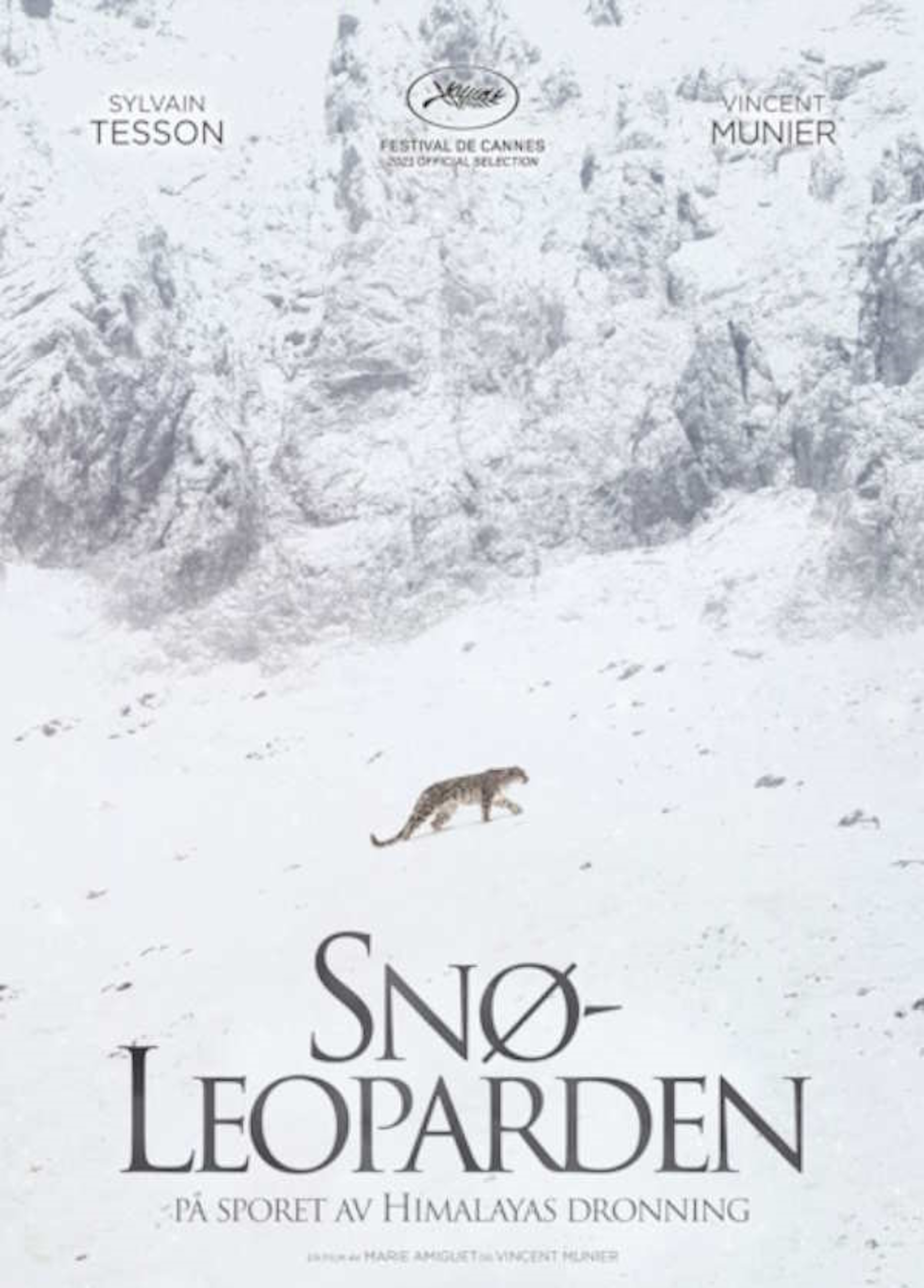 Beskrivende bilde relatert til innholdet i filmen "Snøleoparden"