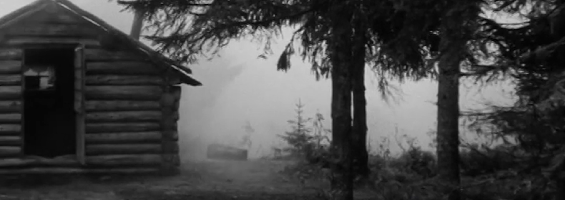Beskrivende bilde relatert til innholdet i filmen "I Asbjørnsens fotefar : Vestmarka og Krokskogen"