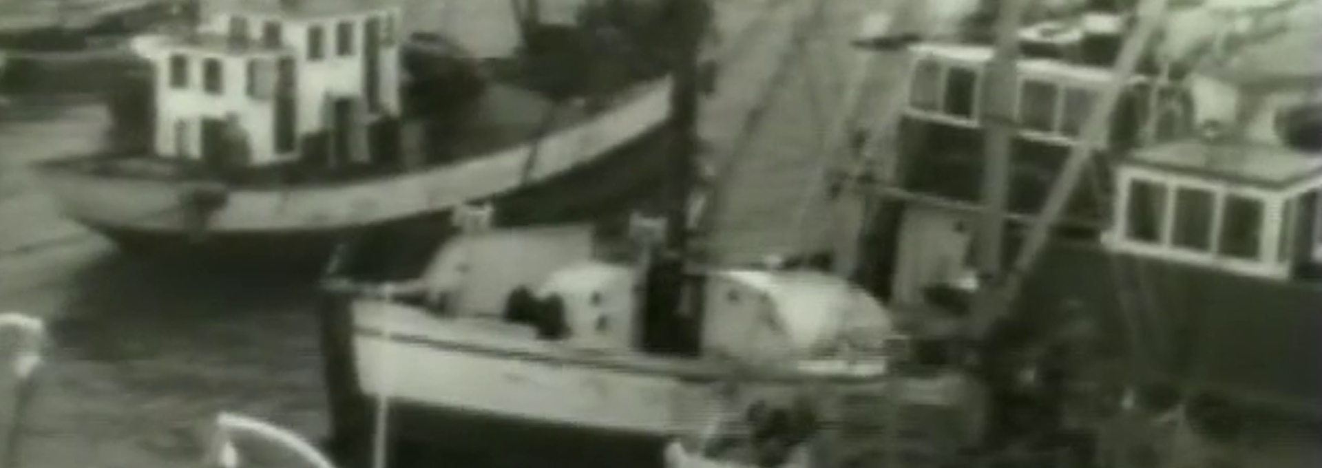 Beskrivende bilde relatert til innholdet i filmen "Filmavisen 1950"
