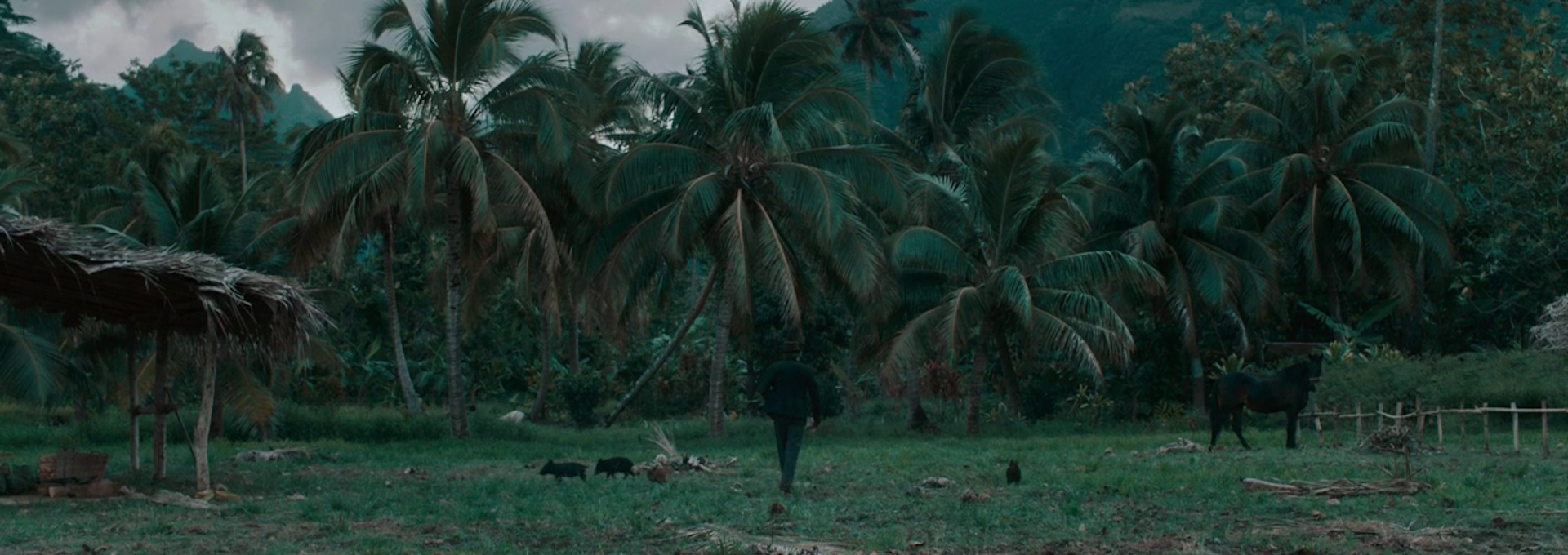 Beskrivende bilde relatert til innholdet i filmen "Gauguin"