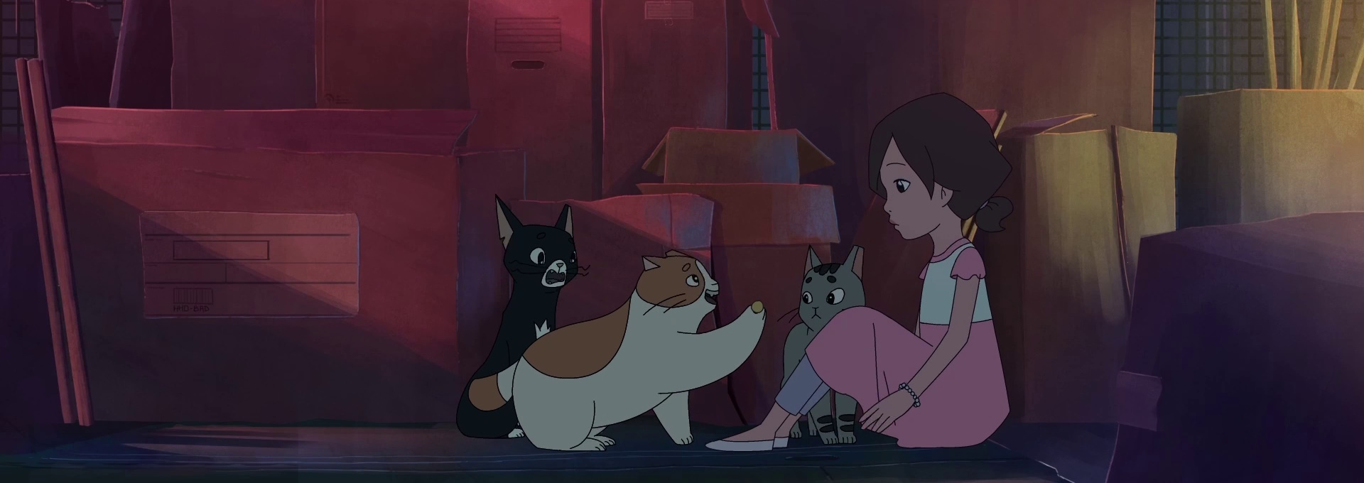 Beskrivende bilde relatert til innholdet i filmen "The Girl and the Cat"