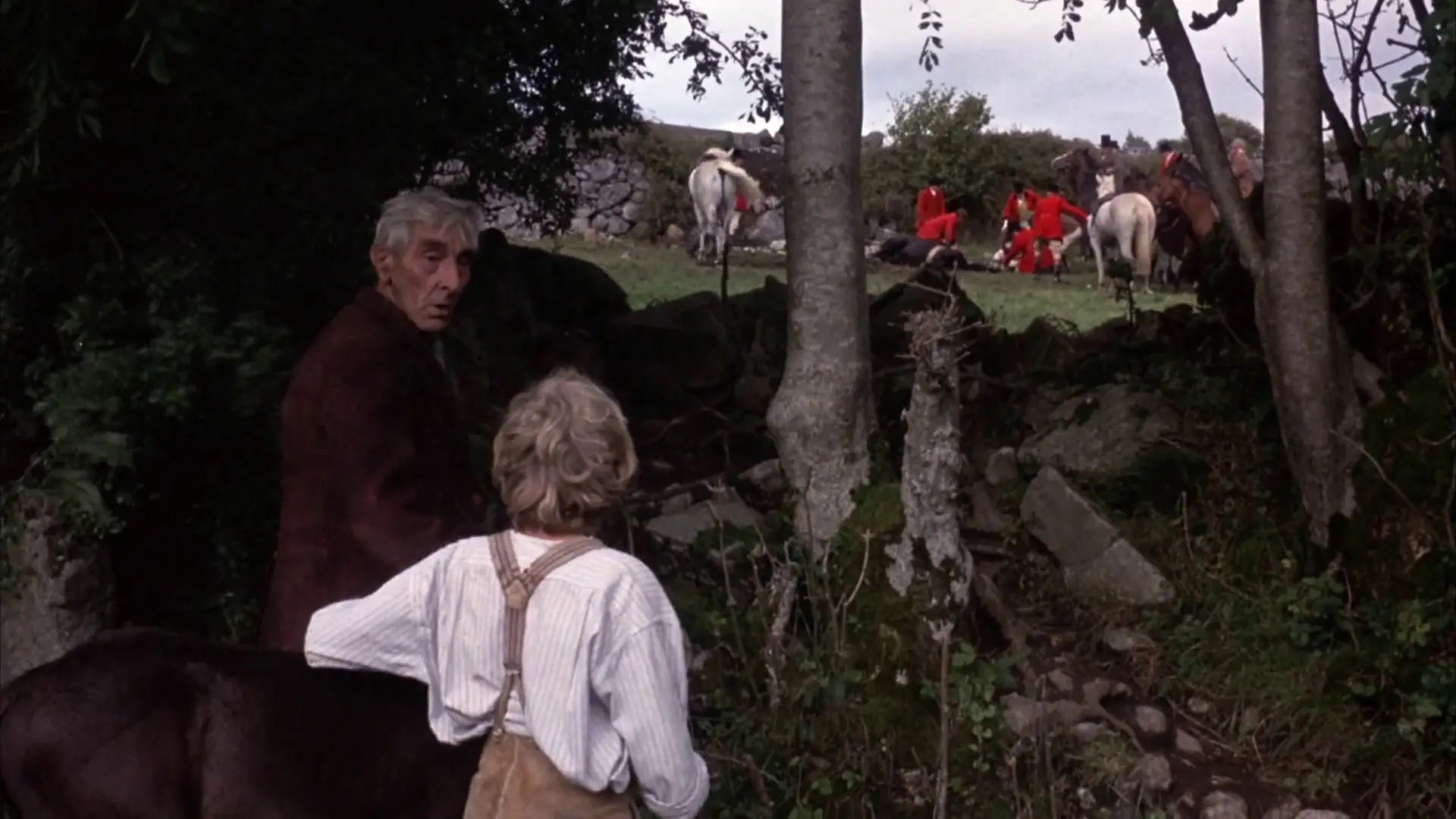 Beskrivende bilde relatert til innholdet i filmen "Black Beauty"