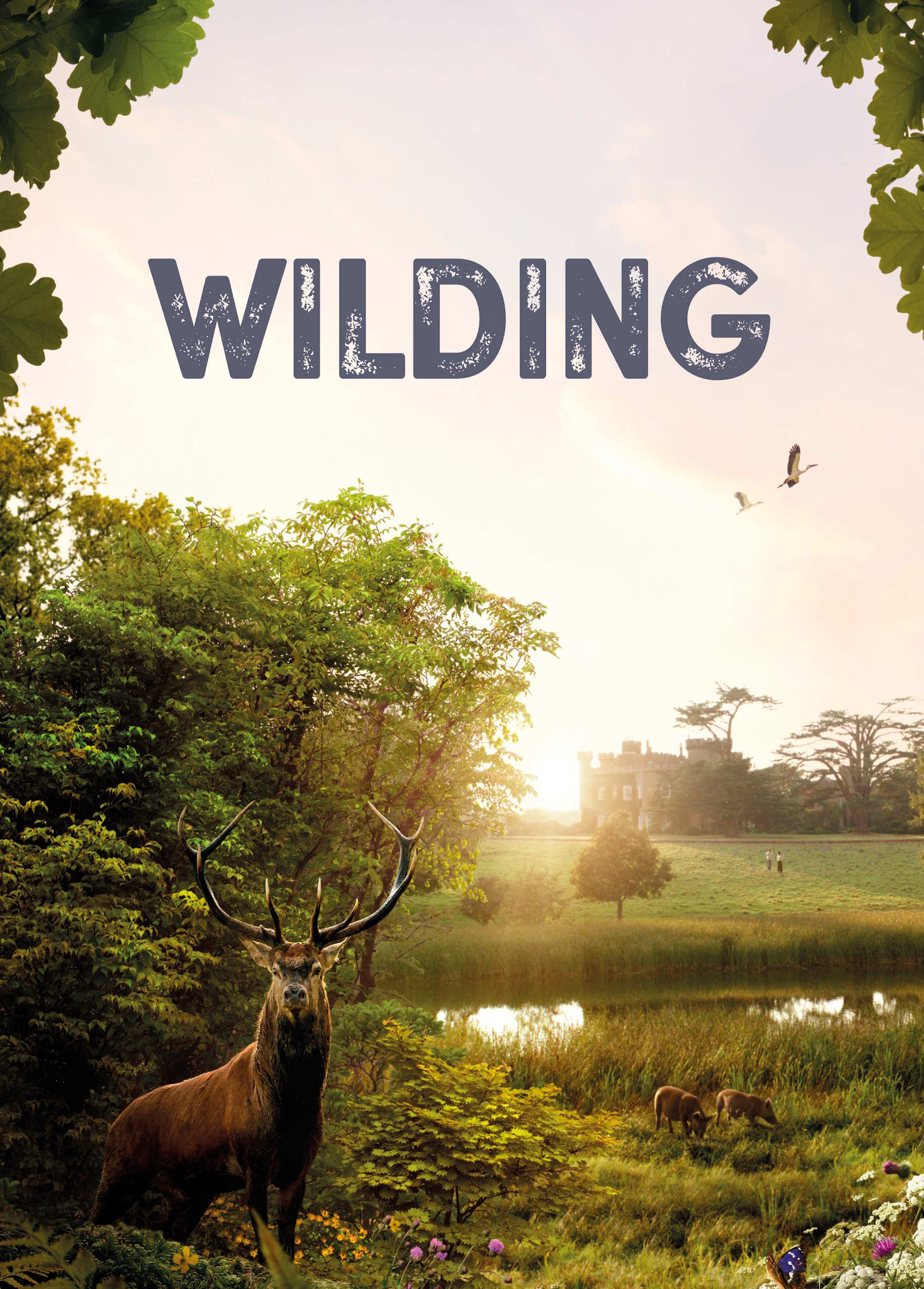 Filmplakat til "Wilding". Natur i solnedgang. 