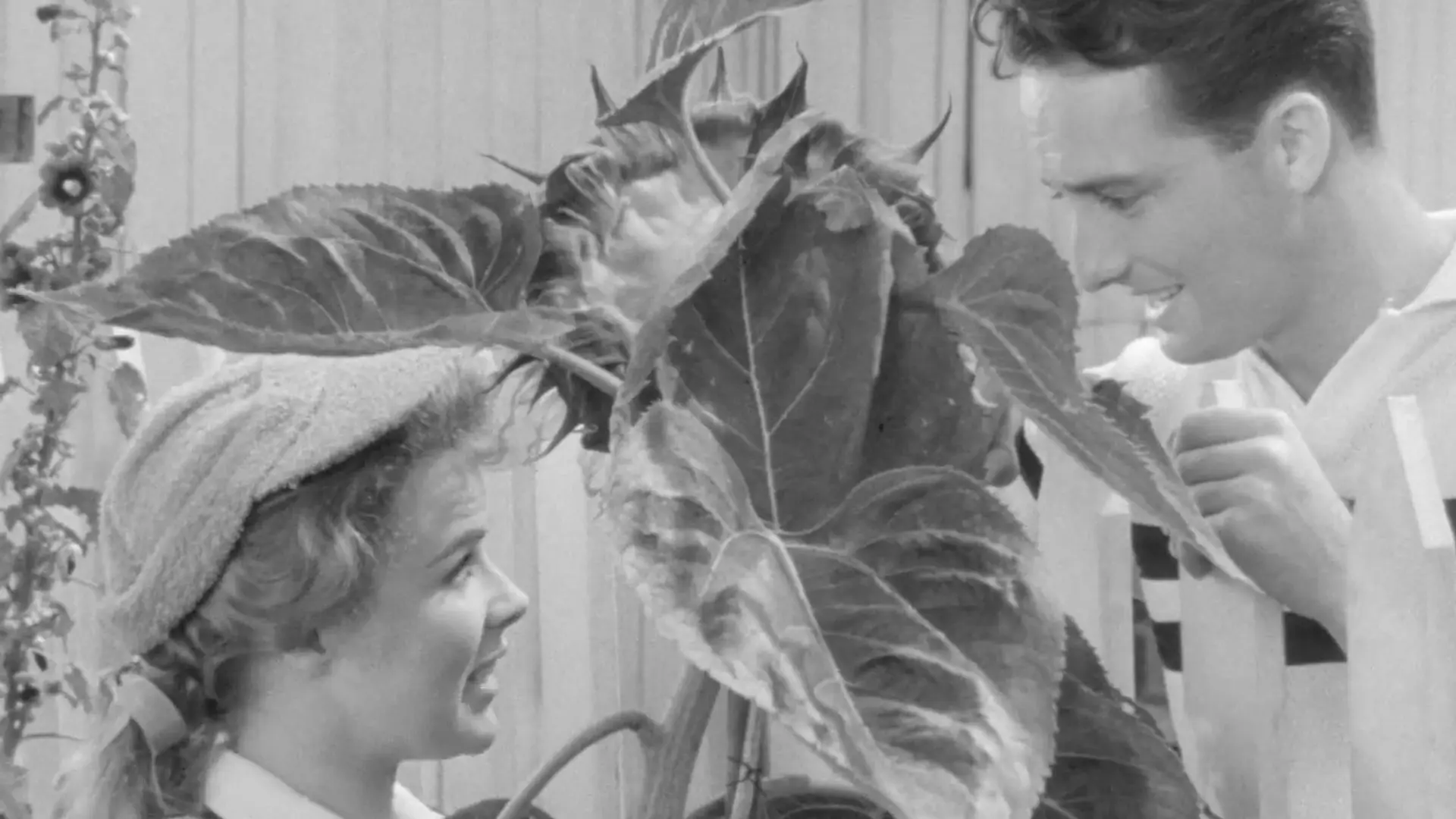 Beskrivende bilde relatert til innholdet i filmen "Hard, Fast and Beautiful!"