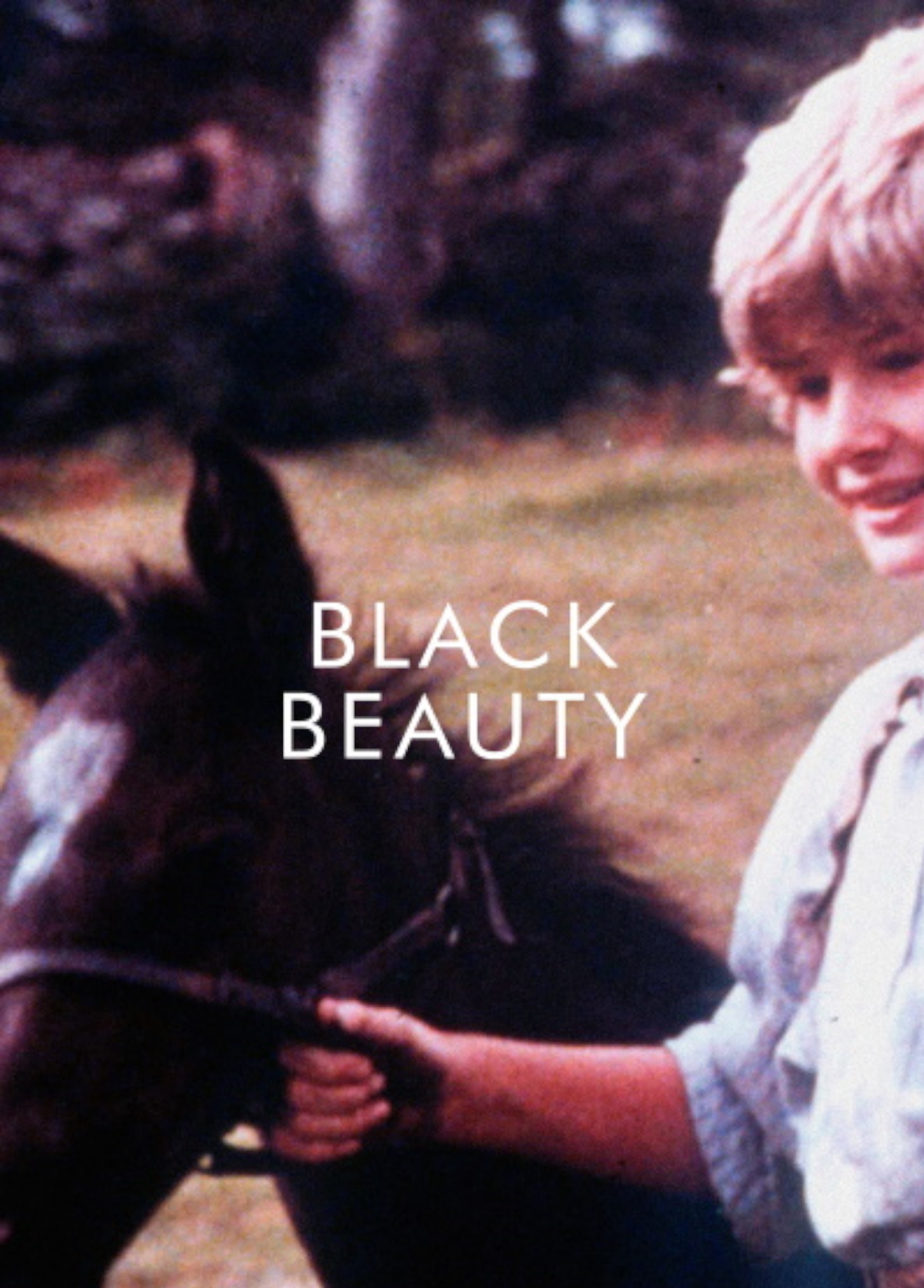 Beskrivende bilde relatert til innholdet i filmen "Black Beauty"
