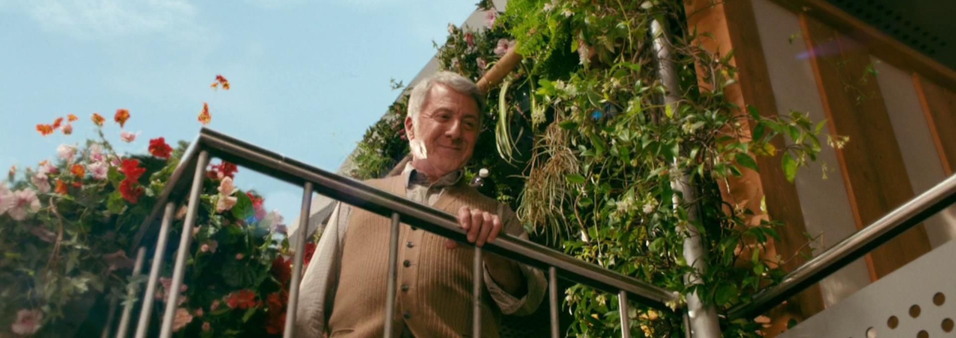 Beskrivende bilde relatert til innholdet i filmen "Mr. Hoppys hemmelighet"