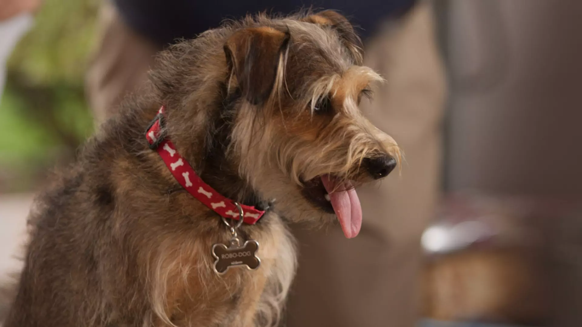 Beskrivende bilde relatert til innholdet i filmen "Robo-Dog"