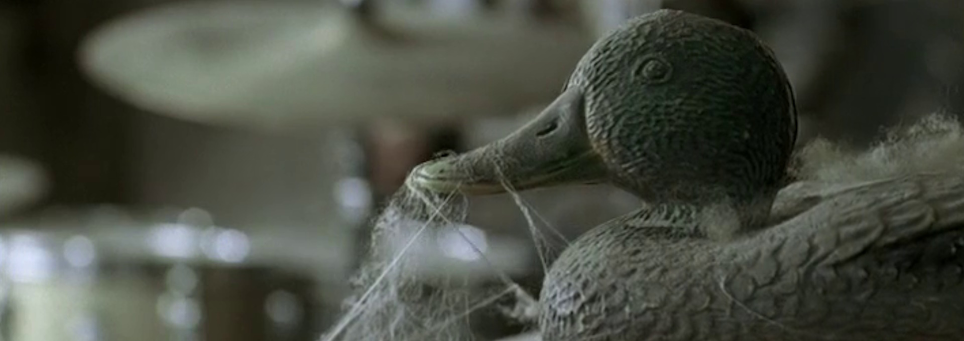 Beskrivende bilde relatert til innholdet i filmen "Lovesick"