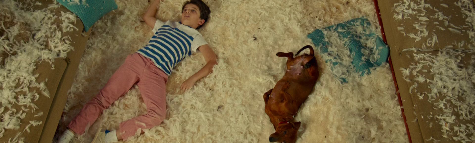 Beskrivende bilde relatert til innholdet i filmen "Wiener-dog"