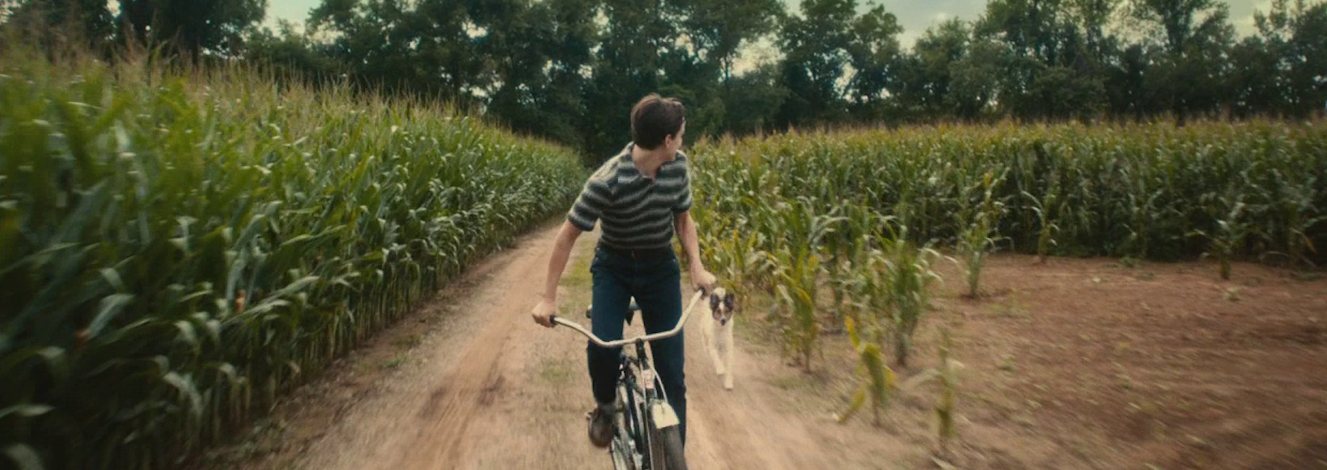 Beskrivende bilde relatert til innholdet i filmen "Ithaca"