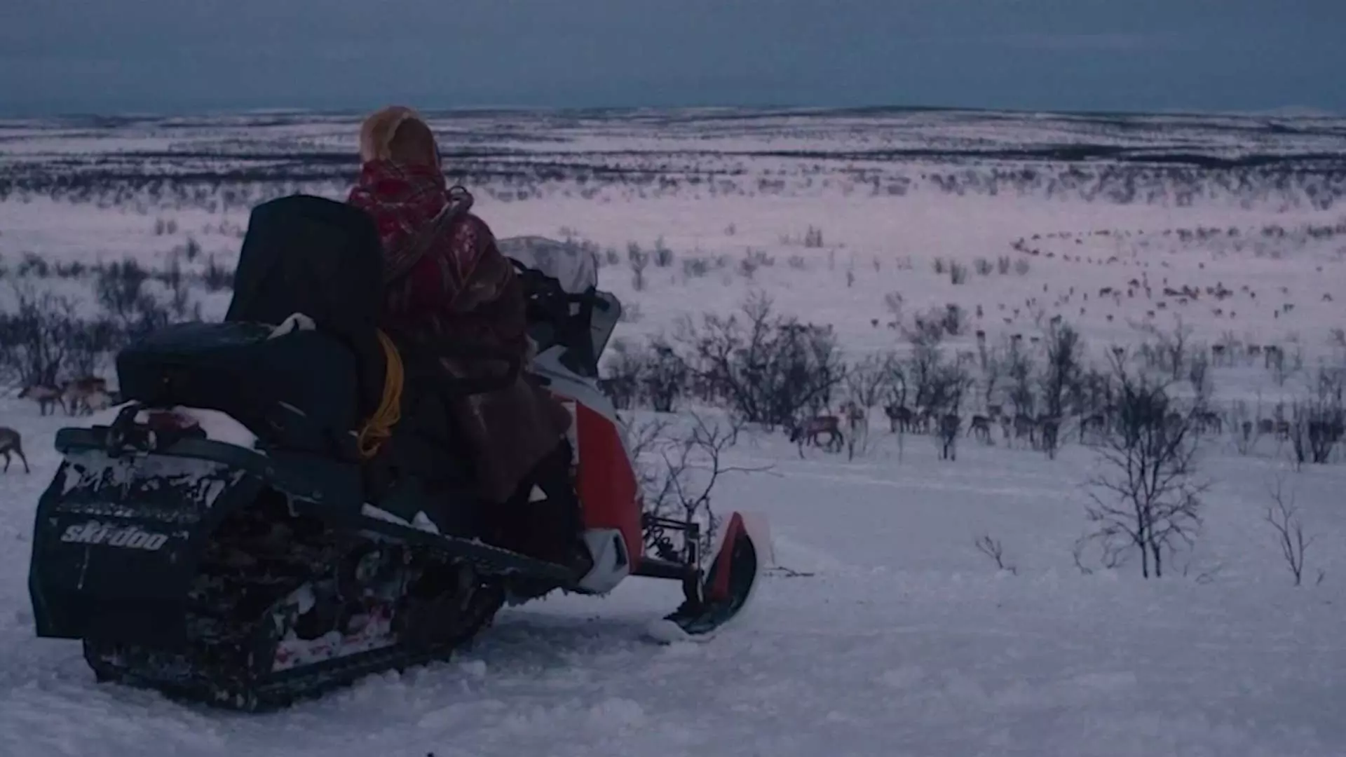 Totalbilde. Vi ser en person ikledd tradisjonelle samiske plagg sittende på en snøscooter bakfra. Personen ser utover et snødekket landskap. Det kan se ut som at vi ser en reinsdyrflokk langt borte. Foto.