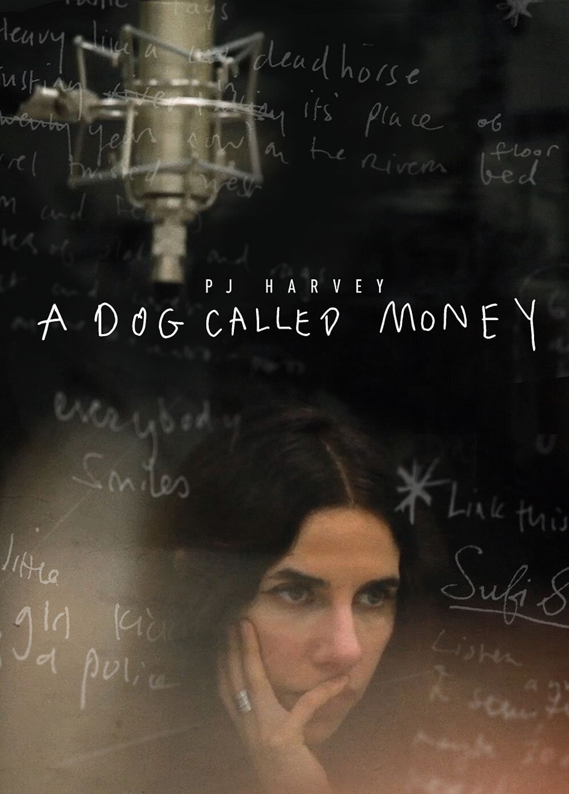 Beskrivende bilde relatert til innholdet i filmen "A Dog Called Money"