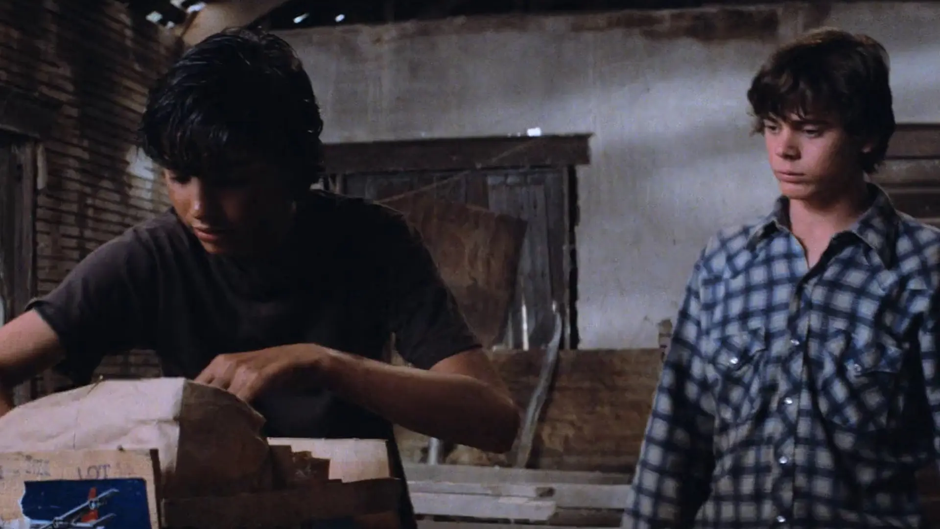Beskrivende bilde relatert til innholdet i filmen "The Outsiders"