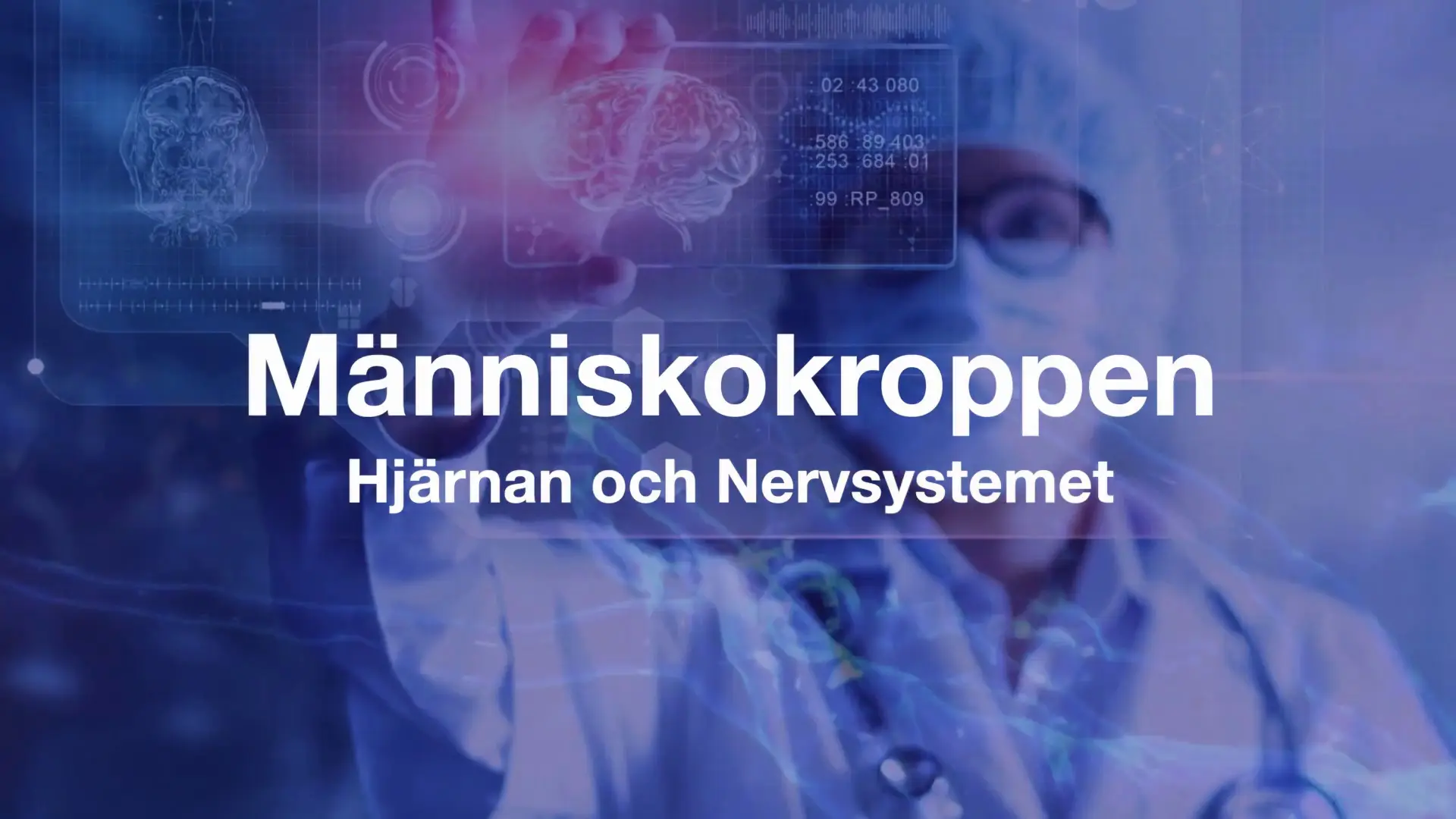 Beskrivende bilde relatert til innholdet i filmen "Menneskekroppen - hjernen og nervesystemet"