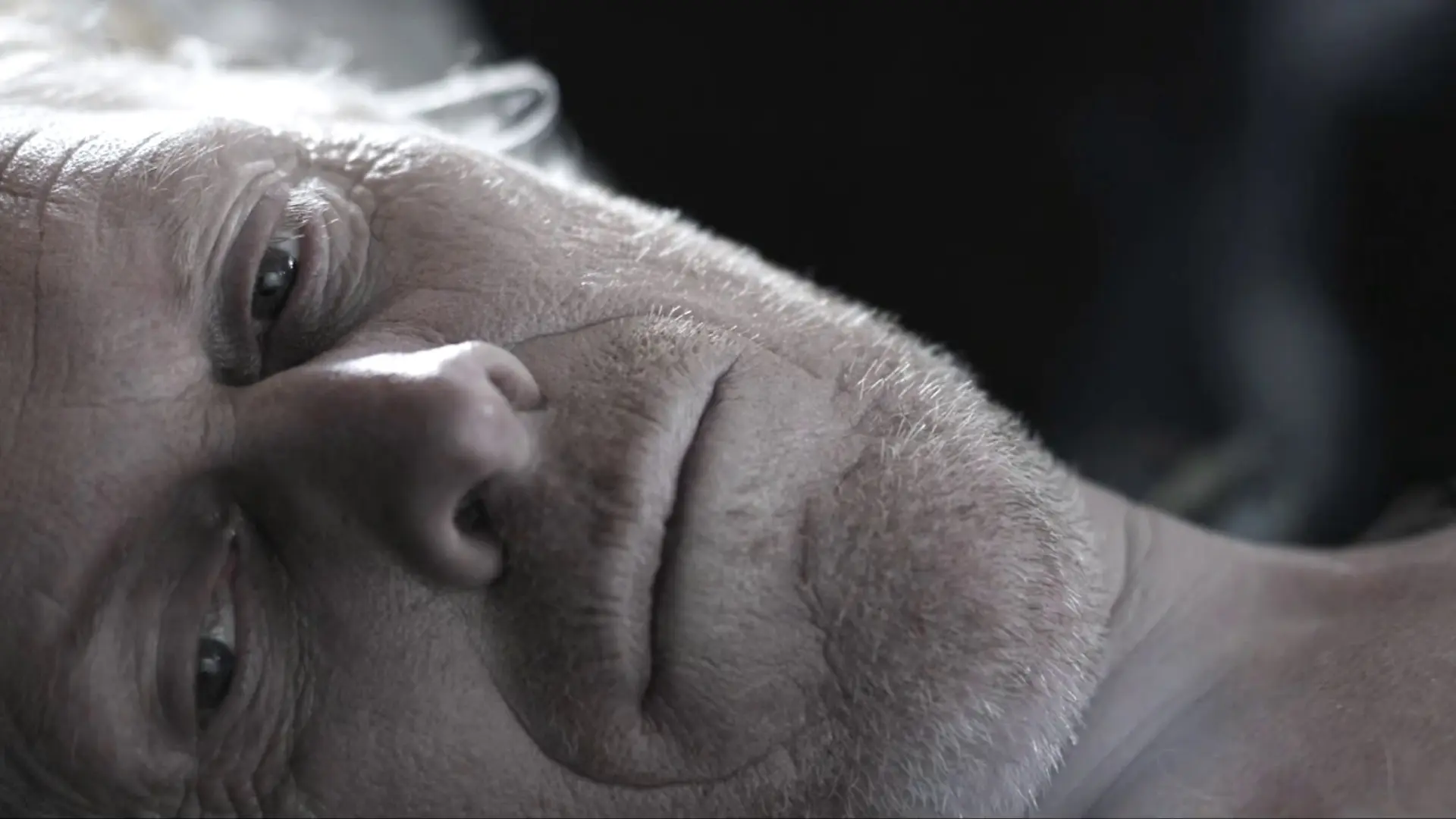 Beskrivende bilde relatert til innholdet i filmen "Erkjenning"