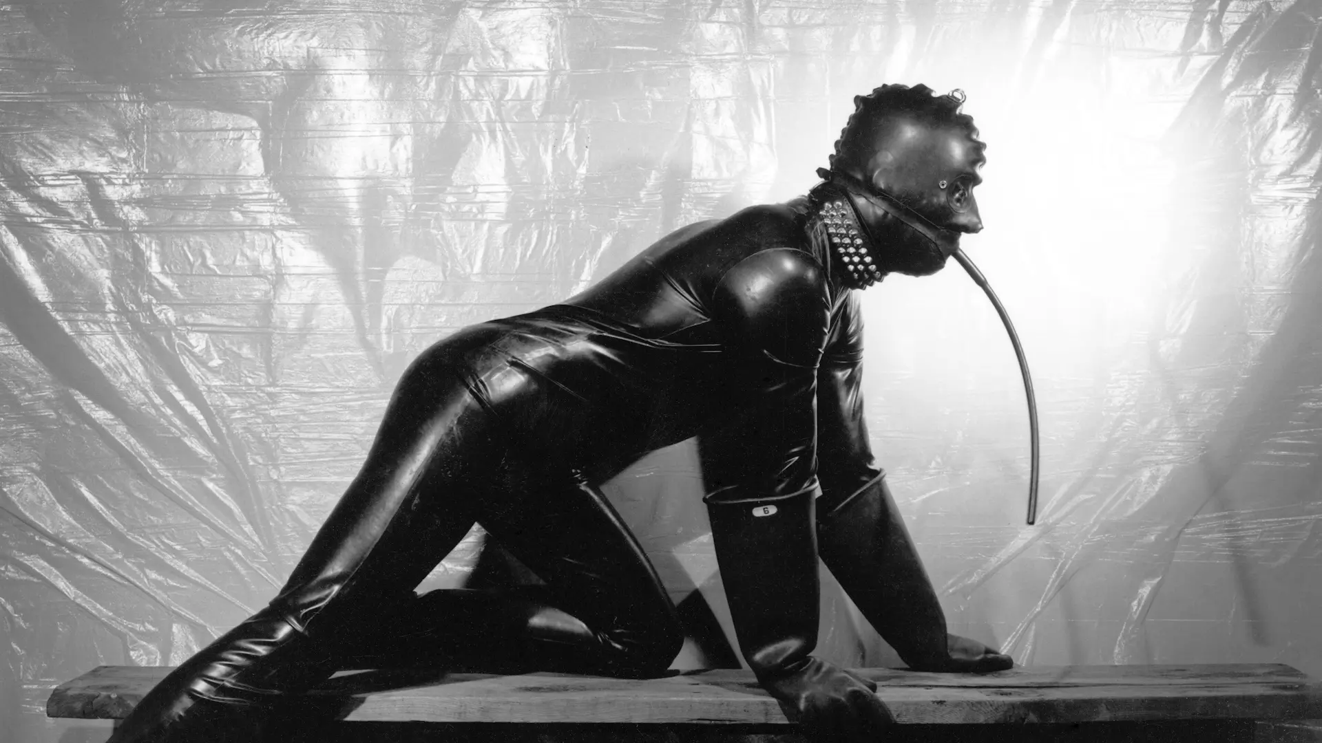 Beskrivende bilde relatert til innholdet i filmen "Mapplethorpe: Look at the Pictures"