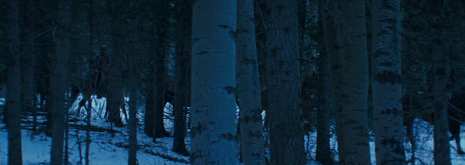 Beskrivende bilde relatert til innholdet i filmen "Seraphim Falls"