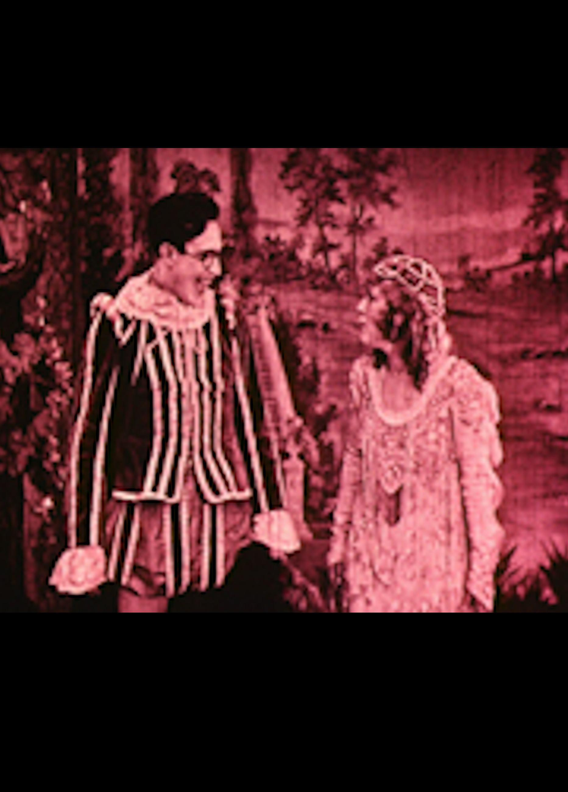 Beskrivende bilde relatert til innholdet i filmen "Den maskerte prins"