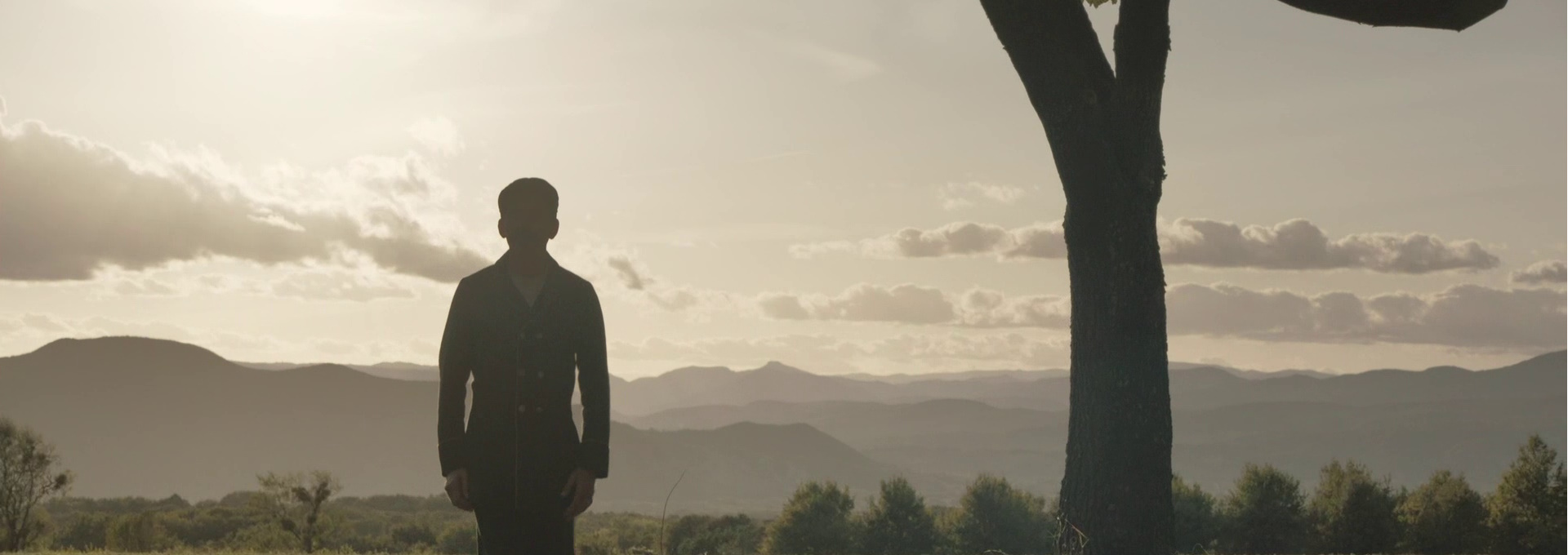Beskrivende bilde relatert til innholdet i filmen "Slottet i Provence"