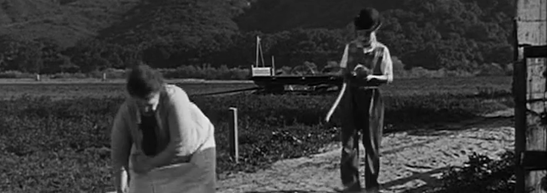 Beskrivende bilde relatert til innholdet i filmen "Charlie Chaplin: Sunnyside"