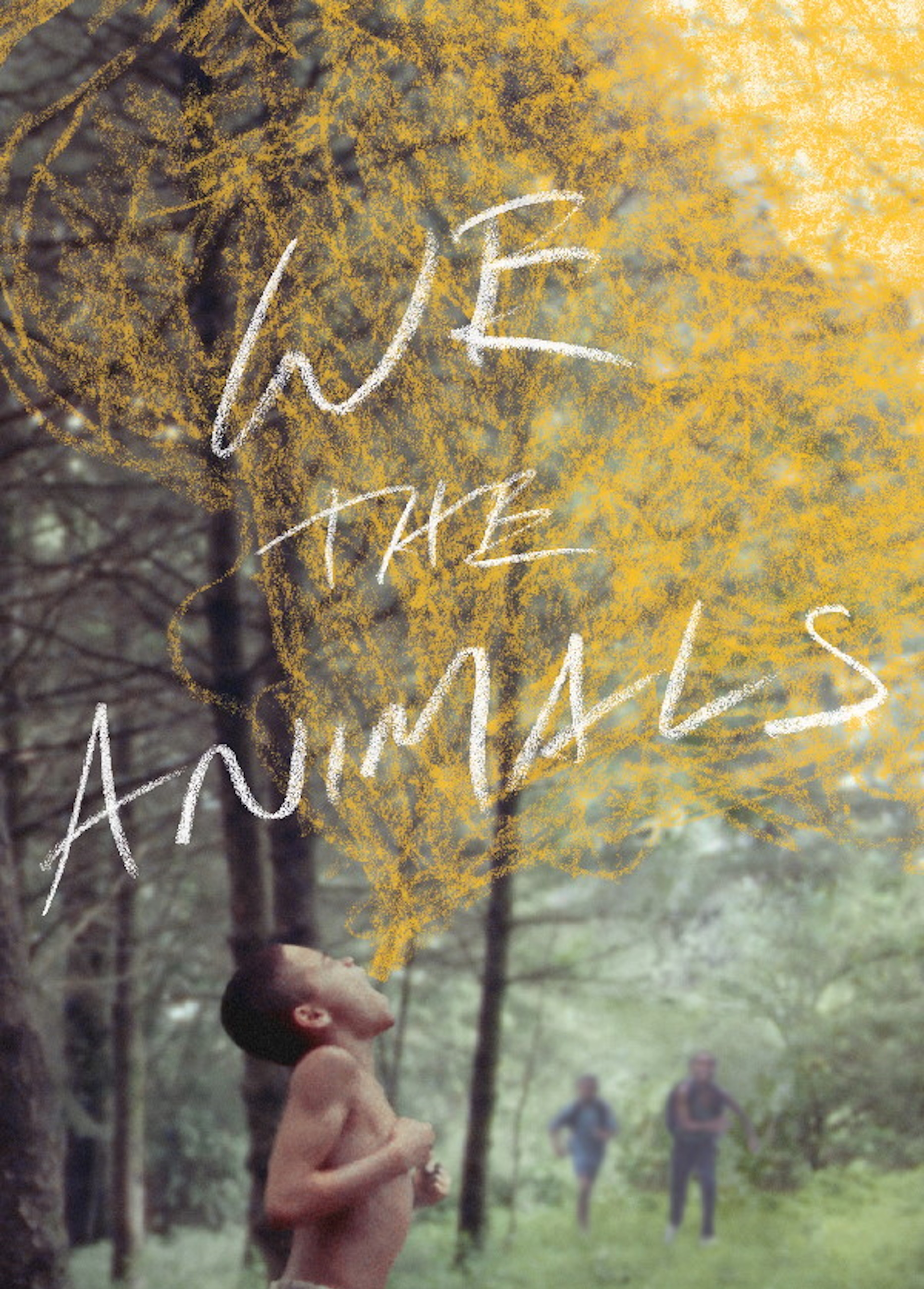 Beskrivende bilde relatert til innholdet i filmen "We the Animals"